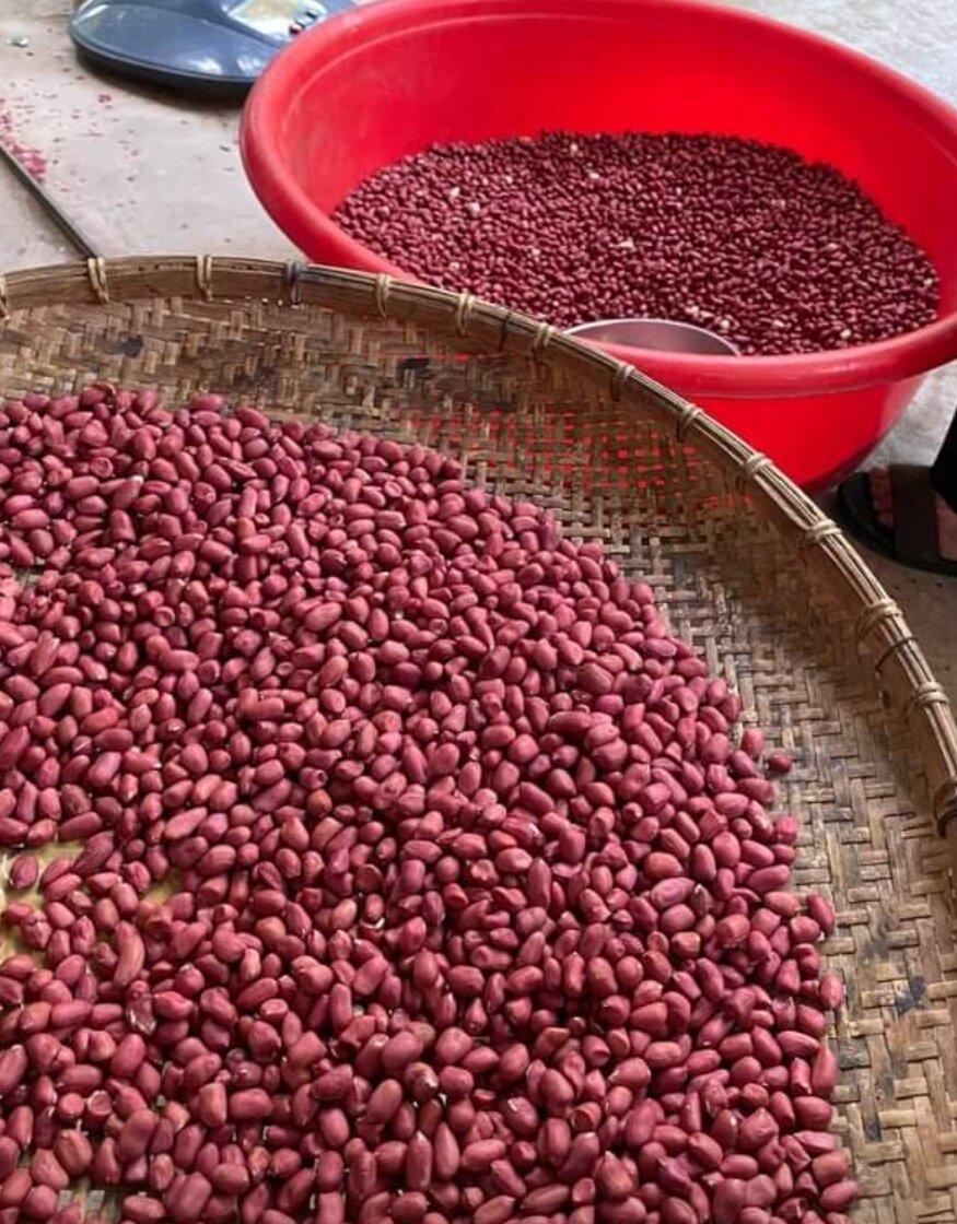 1kg Lạc đỏ giống cũ