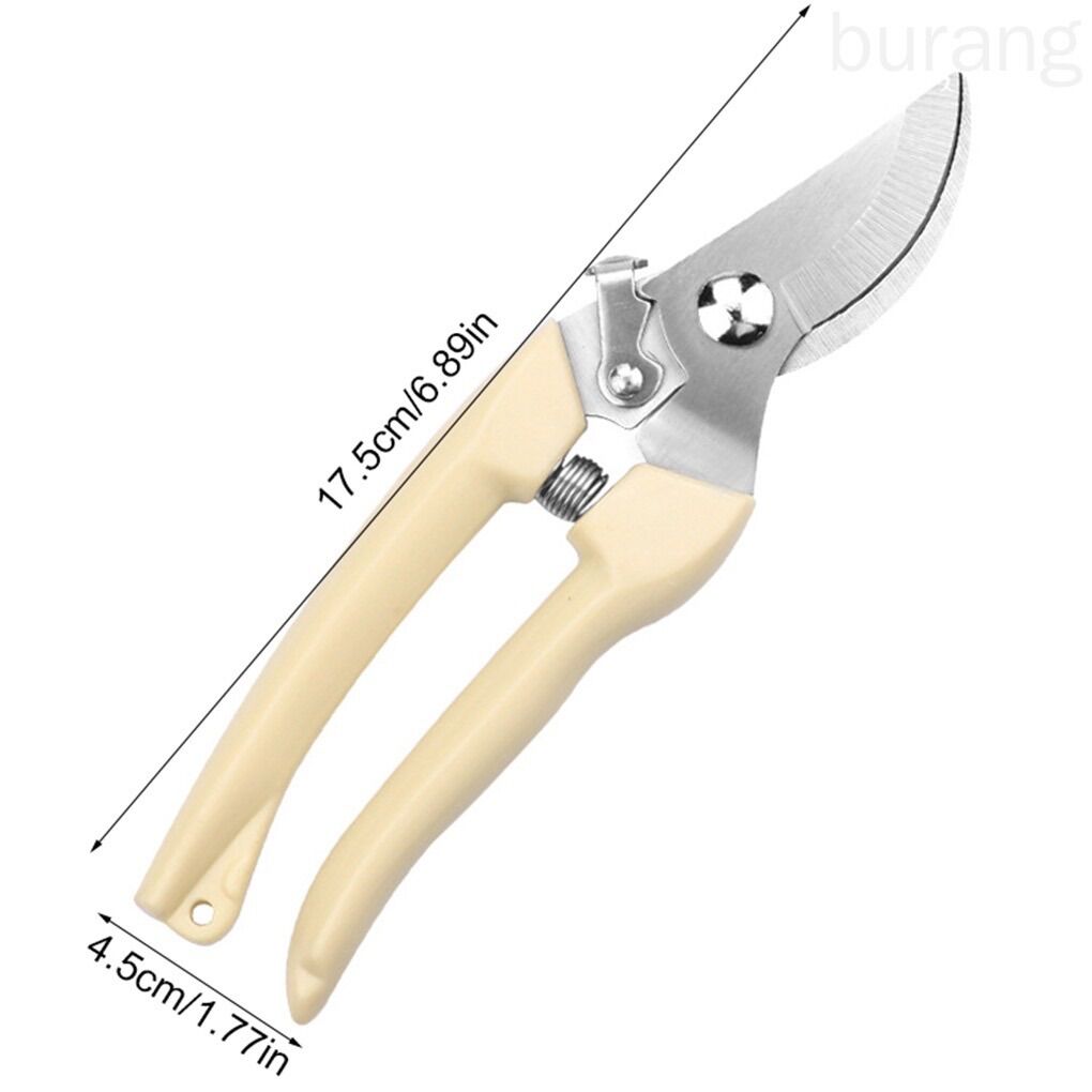 Kéo cắt tỉa cành cây giá rẻ
