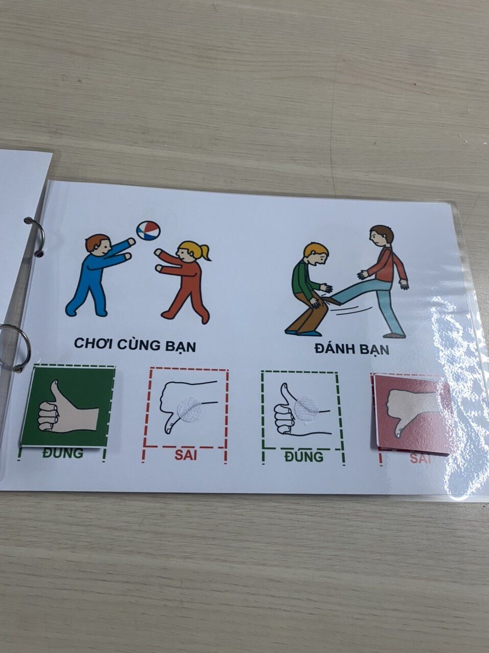 Học liệu bóc dán hành vi đúng sai