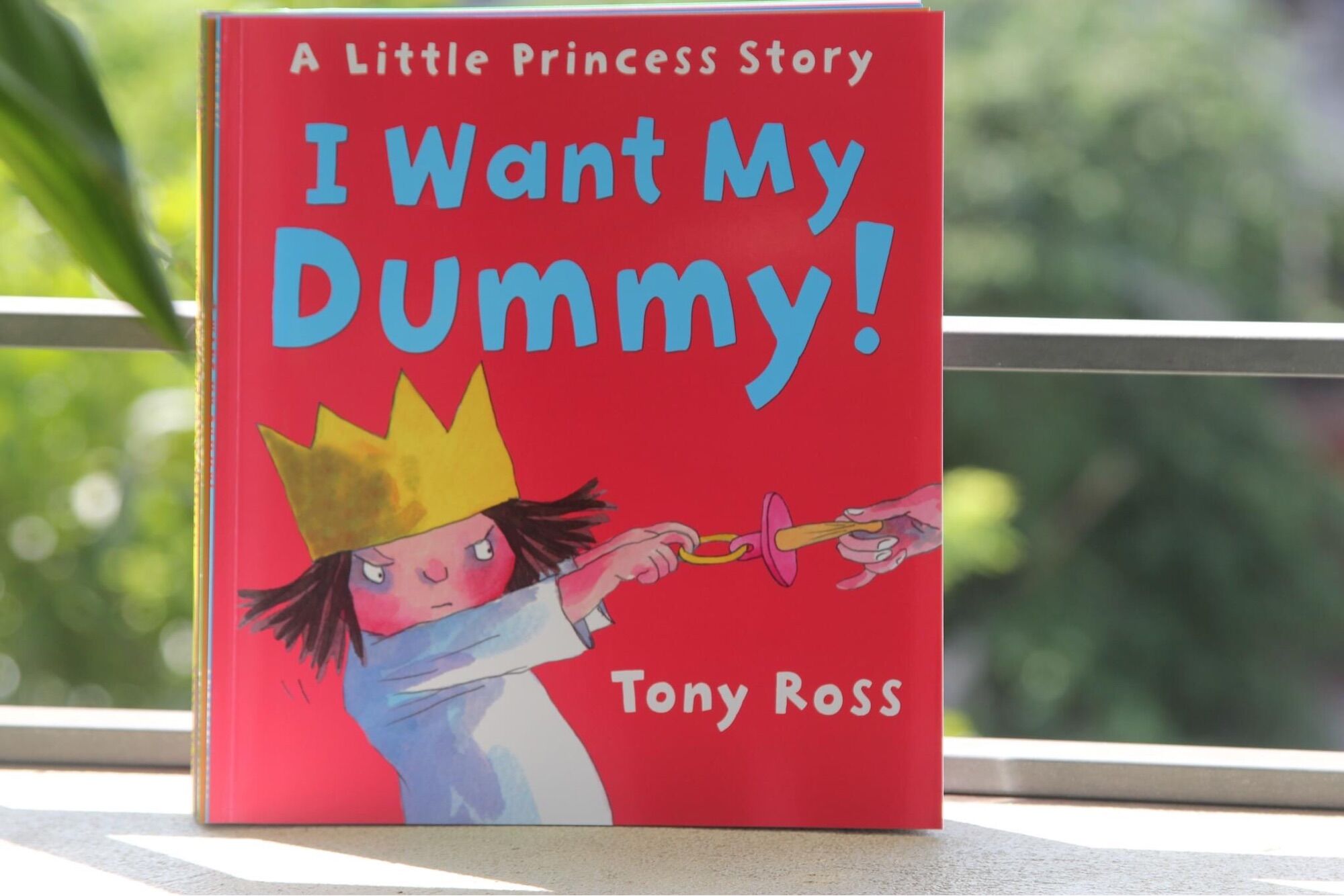 A Little Princess story - 10q