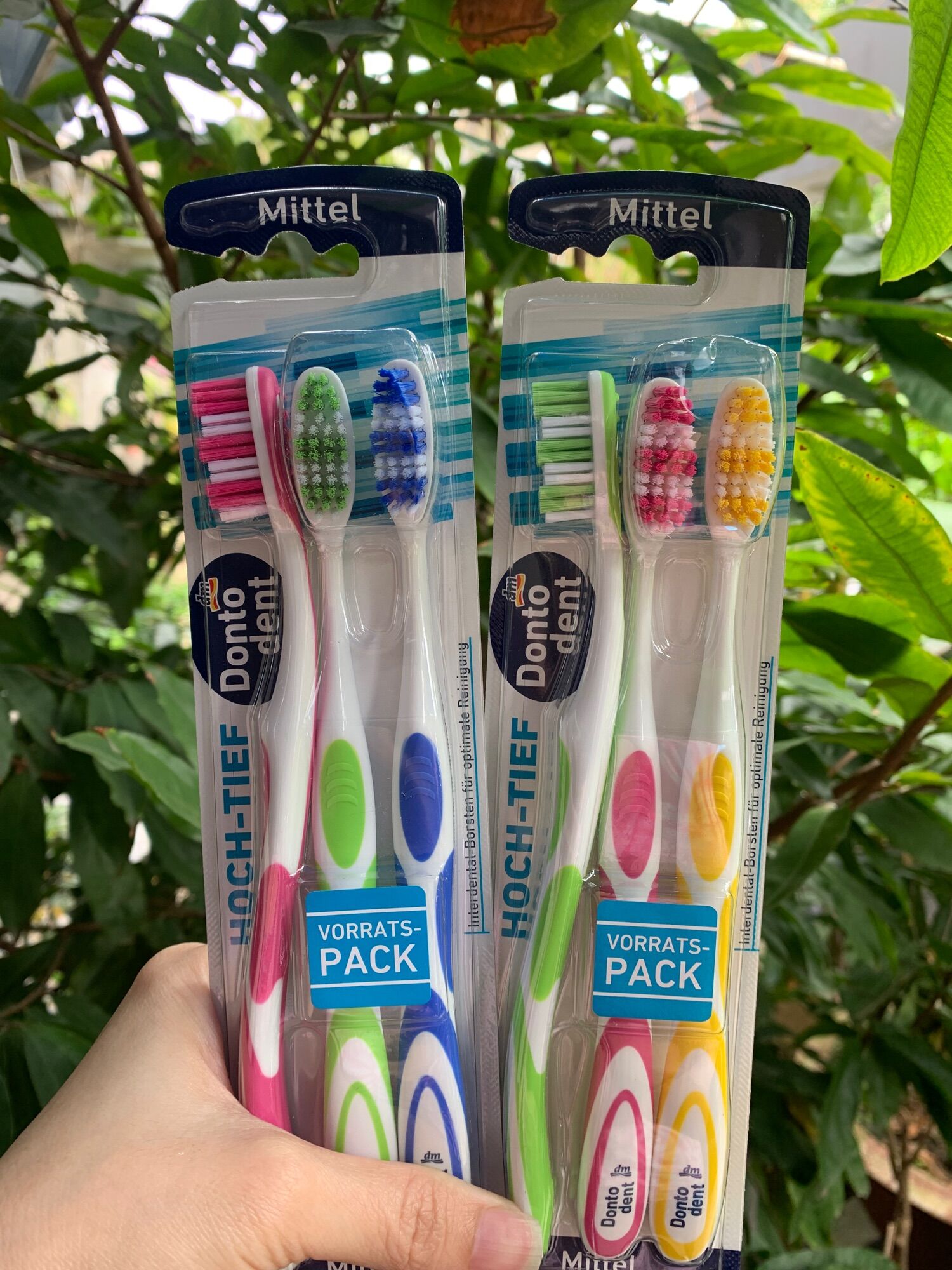 Set bàn chải đánh răng nội địa Đức