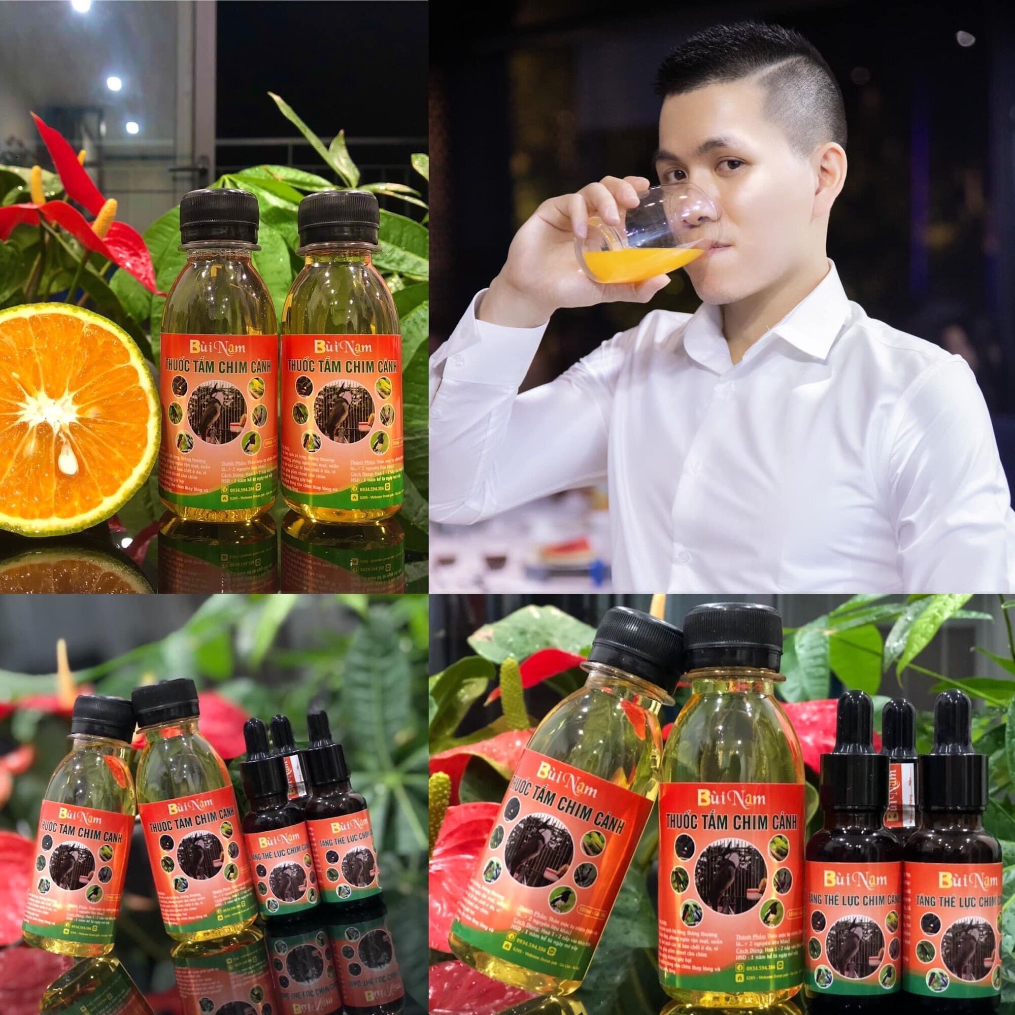Tắm chim cảnh Bùi Nam
