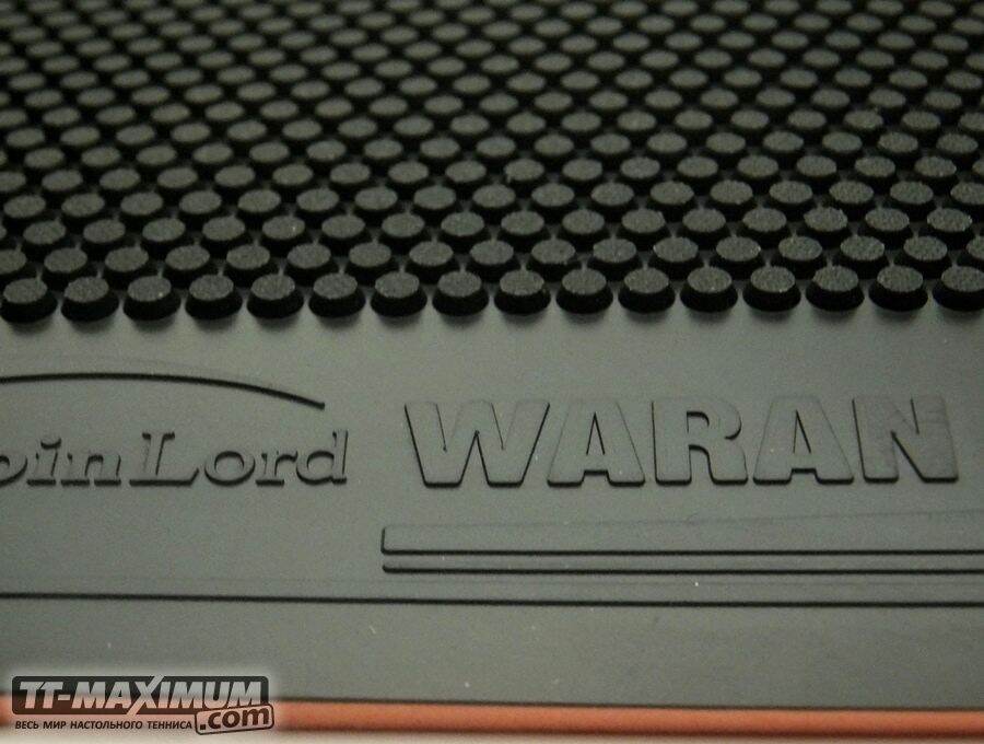 Mặt vợt bóng bàn gai công Spinlord Waran