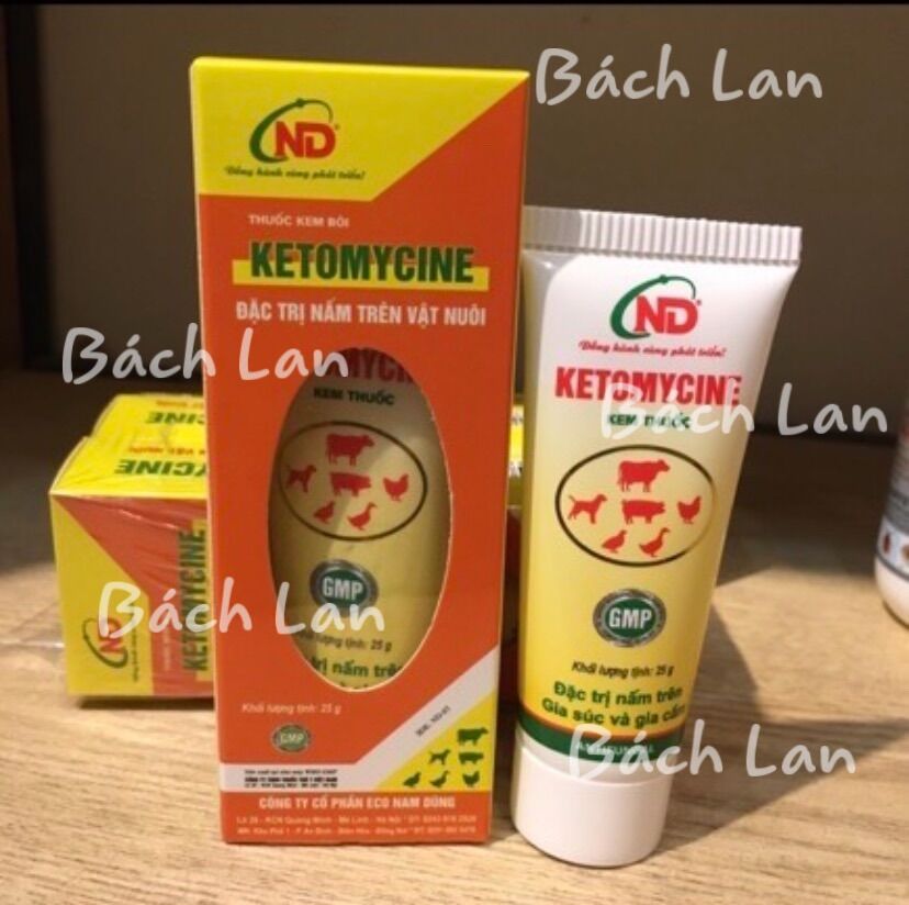 Kem bôi nấm trên da chó mèo Ketomycin 25gram