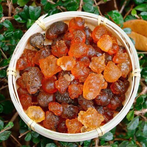 NHỰA ĐÀO (LỆ ĐÀO) - GÓI 100GR
