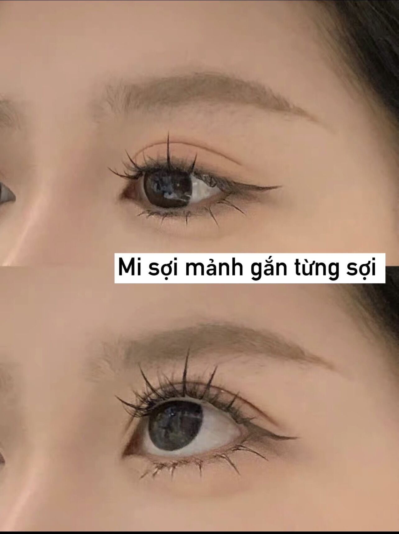 Mi giả nữ gắn theo sợi mảnh ( tặng keo 25k )