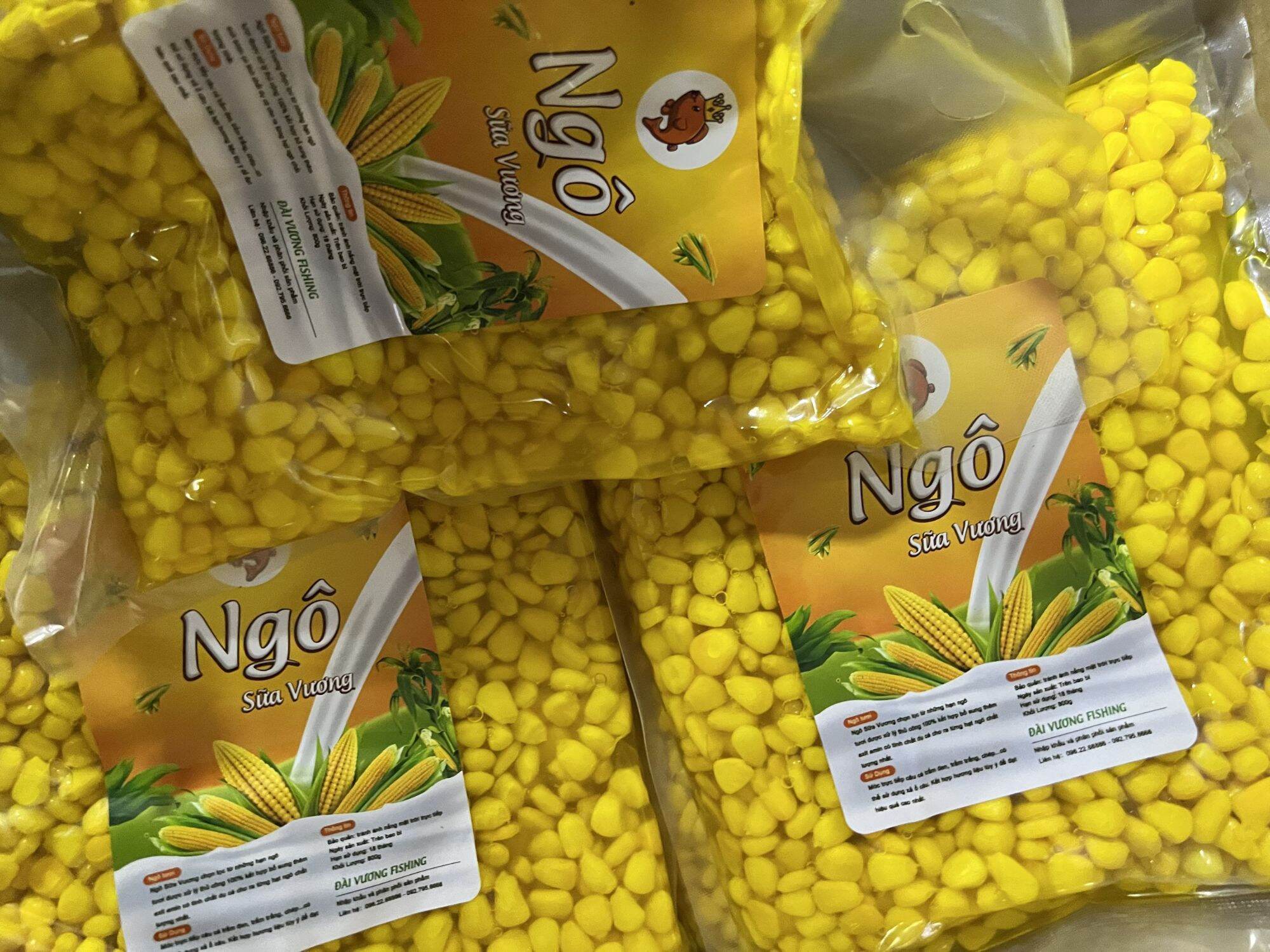 Ngô Sữa Vương- mồi câu cá chép , trắm cỏ