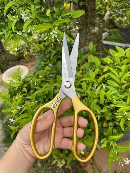 Kéo đa năng lưỡi 12cm
