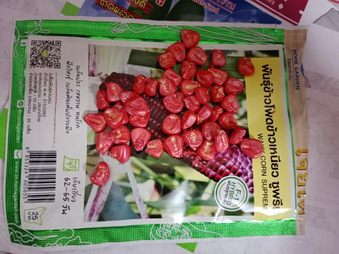 HẠT GIỐNG NGÔ NỮ HOÀNG ĐỎ F1
