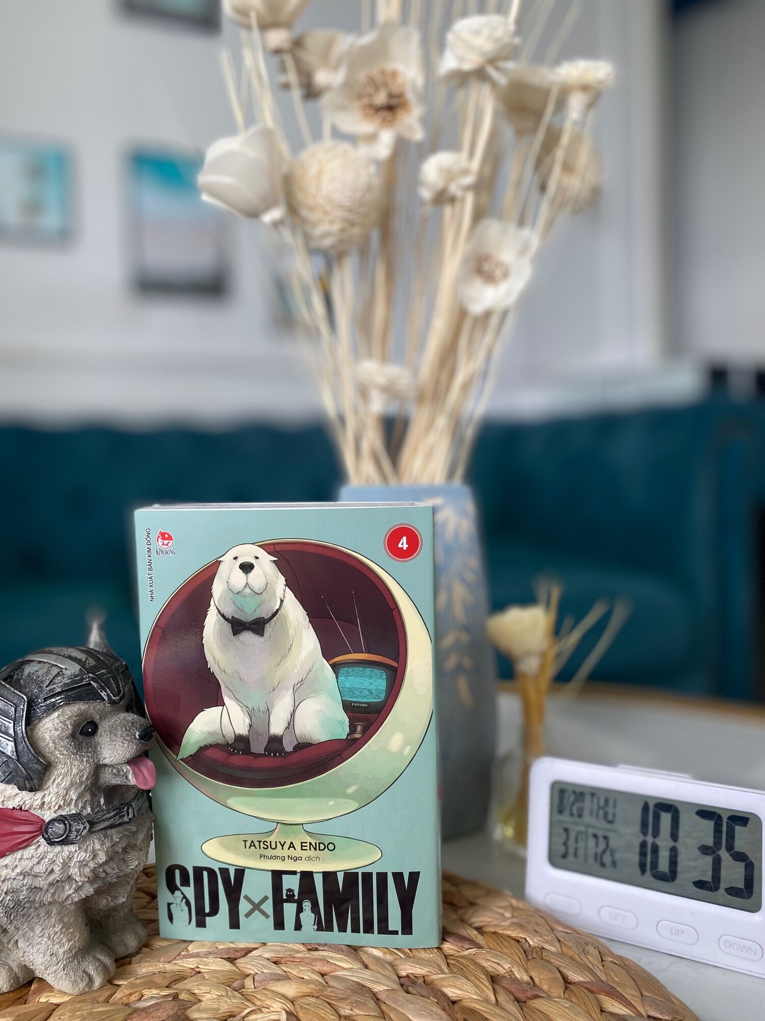 spy x family lẻ