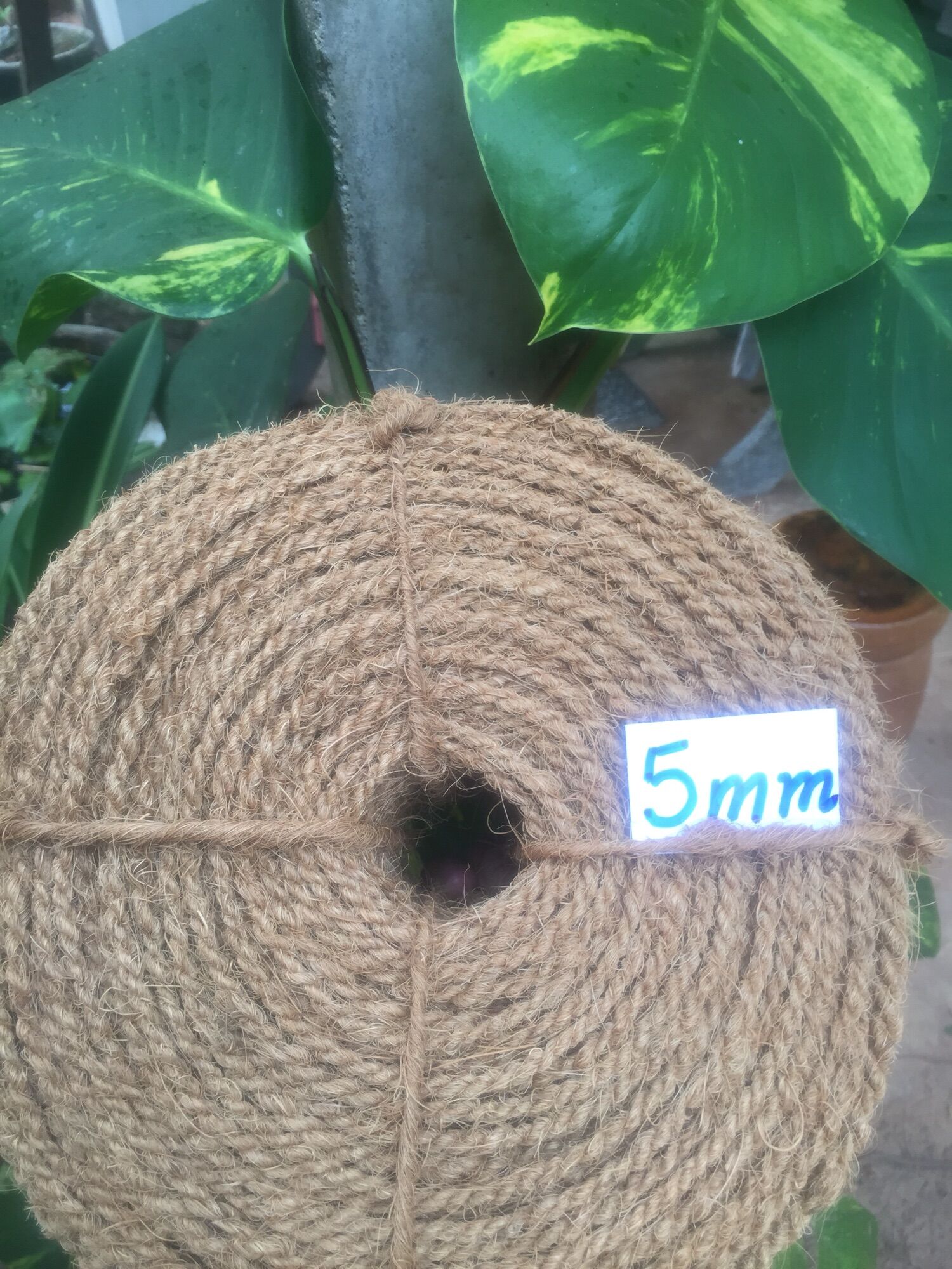 Dây xơ dừa 5mm, cuộn 150m