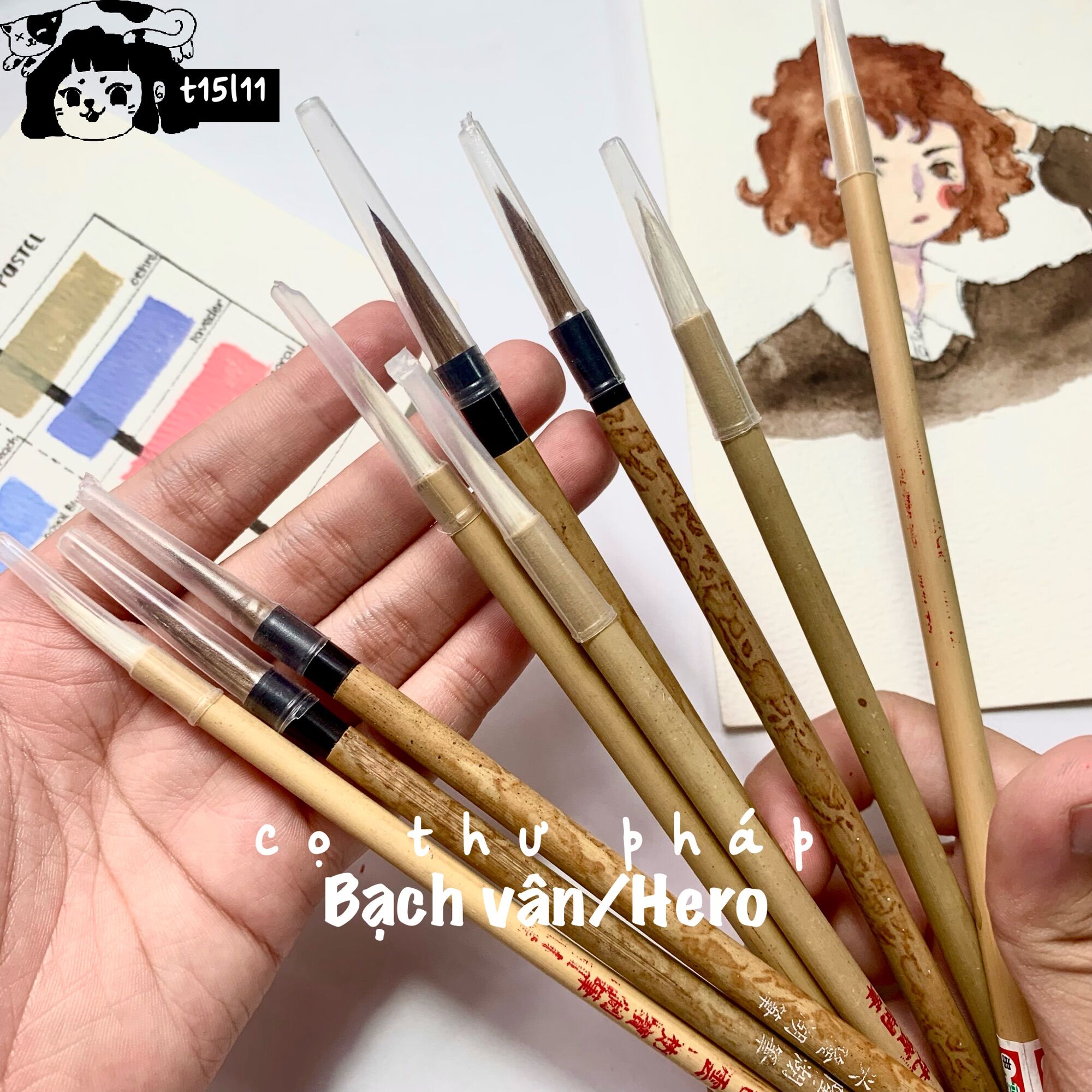 Cọ vẽ thư pháp Bạch Vân/ Hero