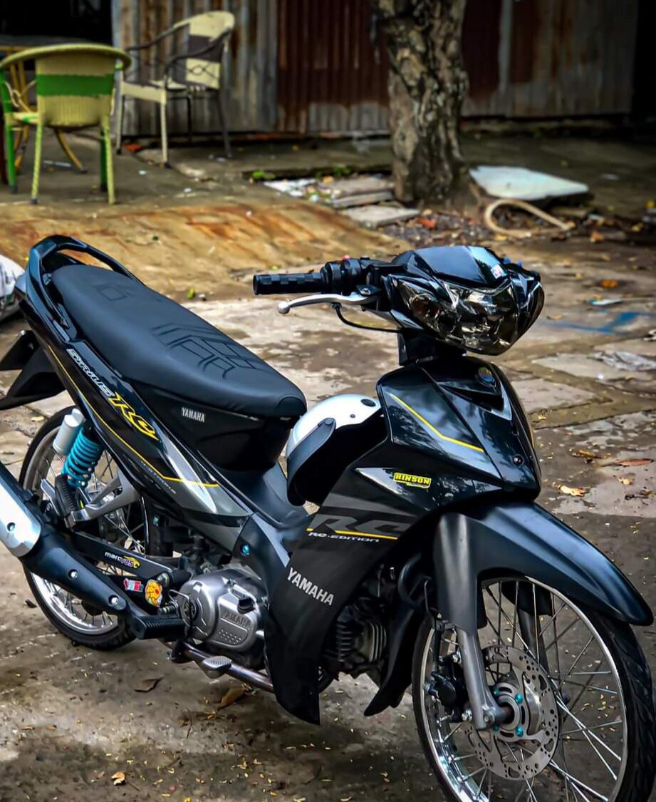 Tem rời sirius đen