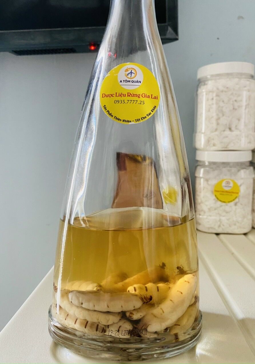 Mối chúa size trung