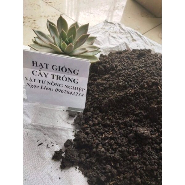 đất sạch trồng cây - đất trộn đầy đủ dinh dưỡng (1kg đất trồng cây)