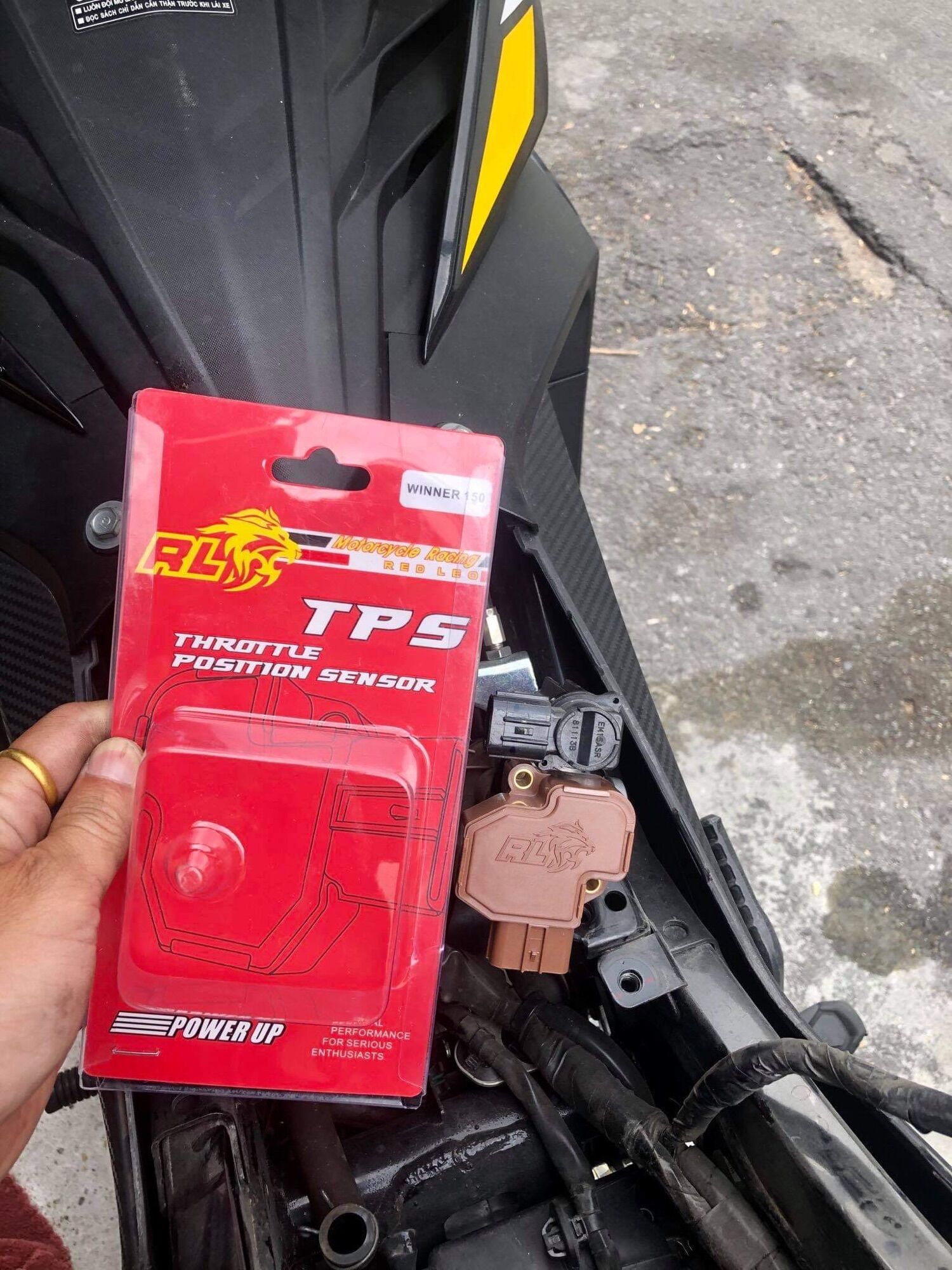 [HCM]TPS REDLEO WINNER