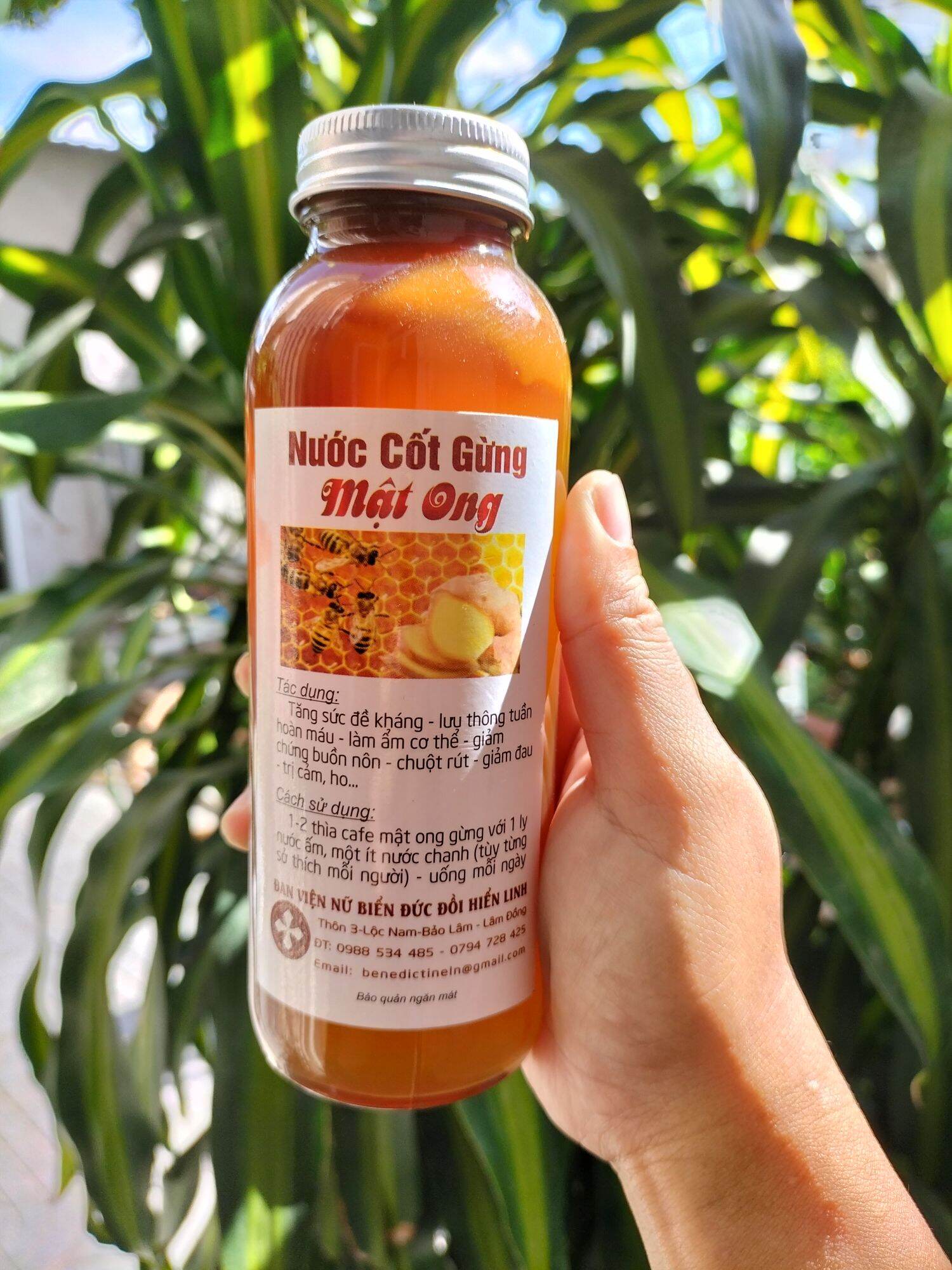 Nước cốt gừng mật ong biển đức