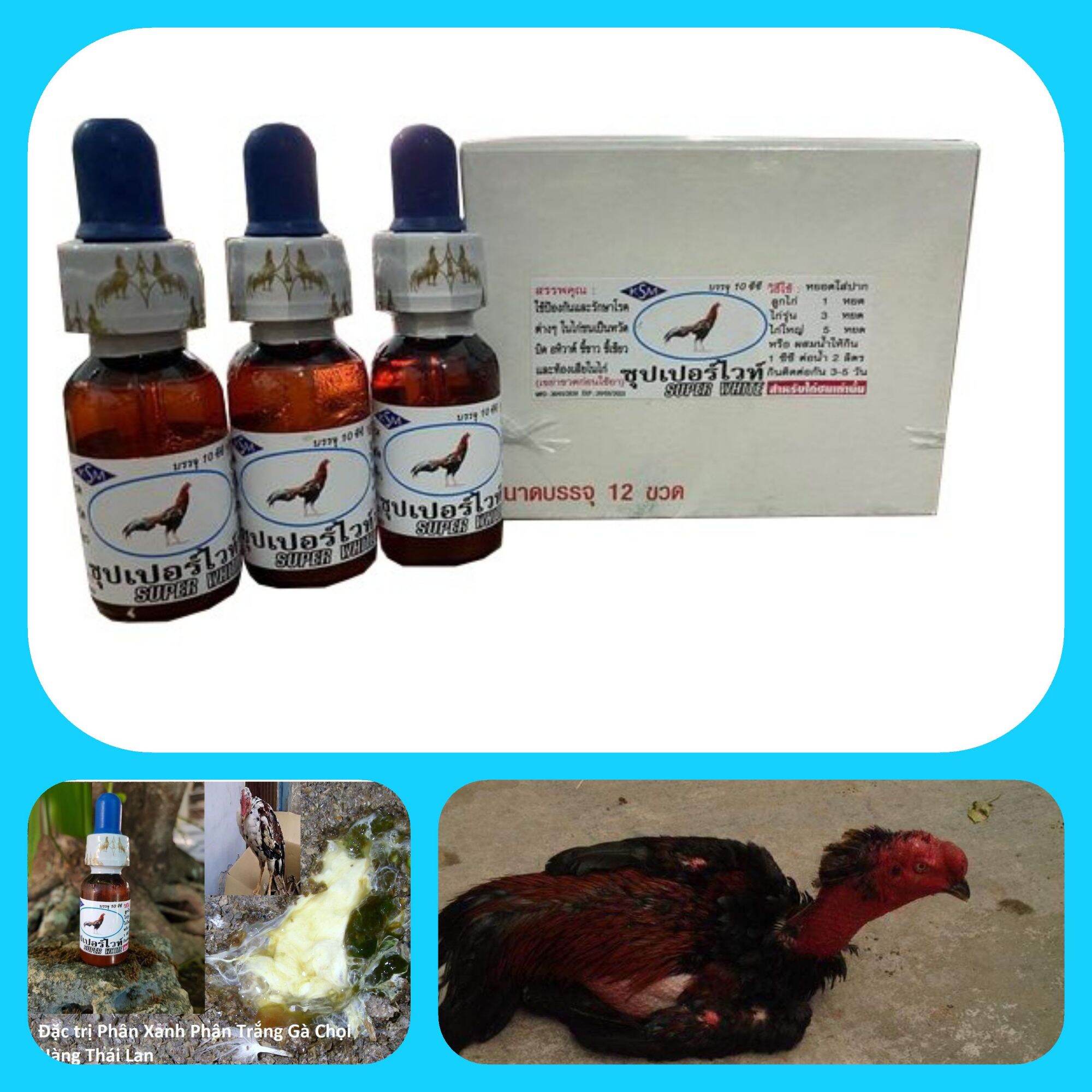 super white dạng nước ( combo 3 chai ) - tr.ị gà đi phân xanh, trắng , ủ rũ , ph.ân nước