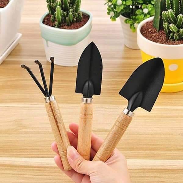 Bộ 3 dụng cụ làm vườn cán gỗ mini