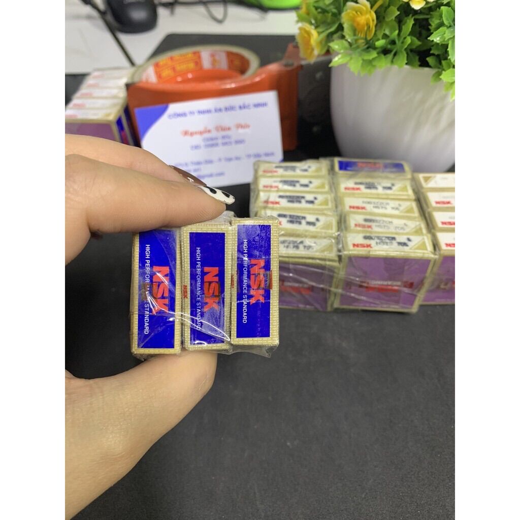 vòng bi bạc đạn NSK 6003 japan