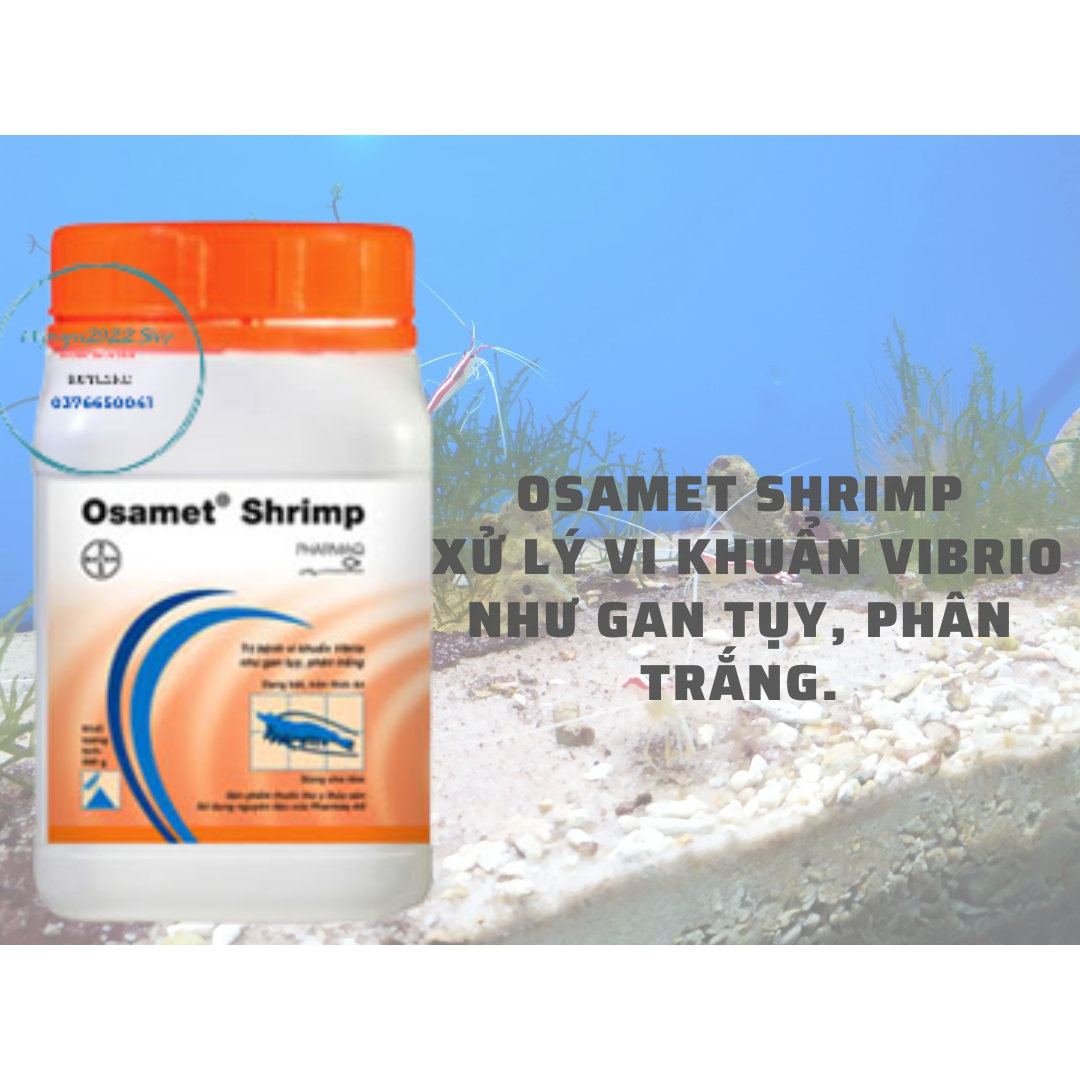 Osamet Shrimp xử lý vi khuẩn vibrio như gan tụy, phân trắng.