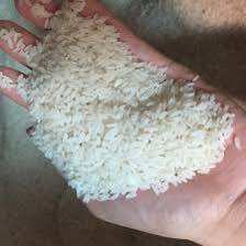Gạo ST25 bao 5kg (Gạo dẻo vừa,mềm,ngọt cơm,thơm nhiều)