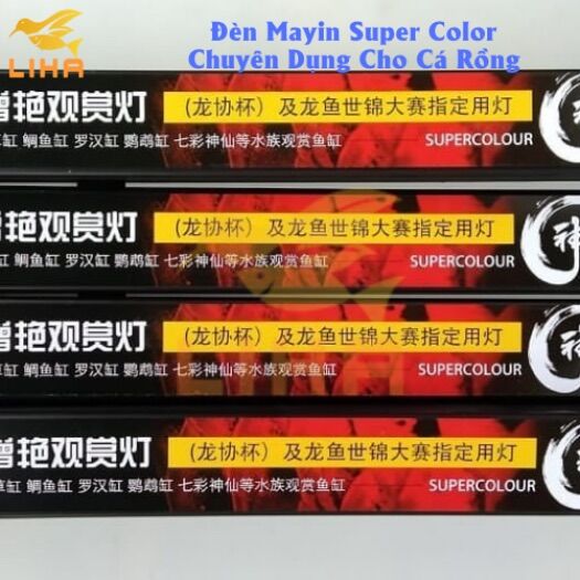 ĐÈN LED CÁ RỒNG MAYIN SUPER COLOUR ĐỎ CÁ KHÔNG ĐỎ NƯỚC 92cm