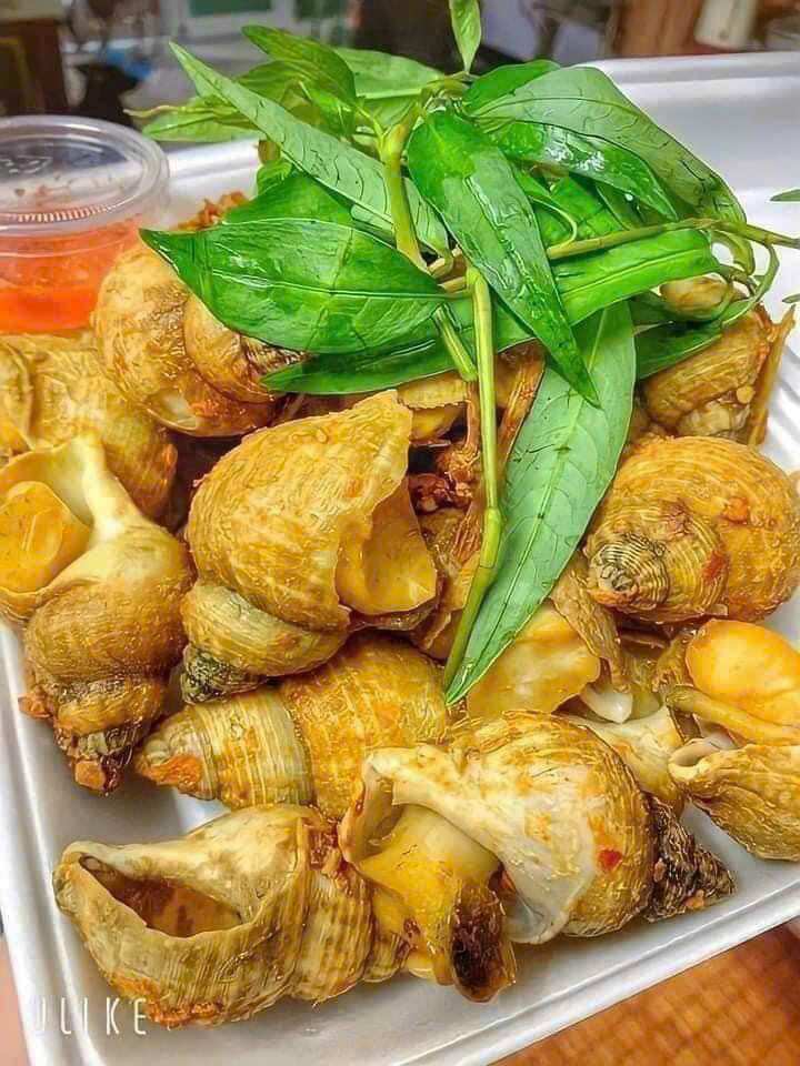 1kg ỐC BULOT PHÁP (size 30-50con)