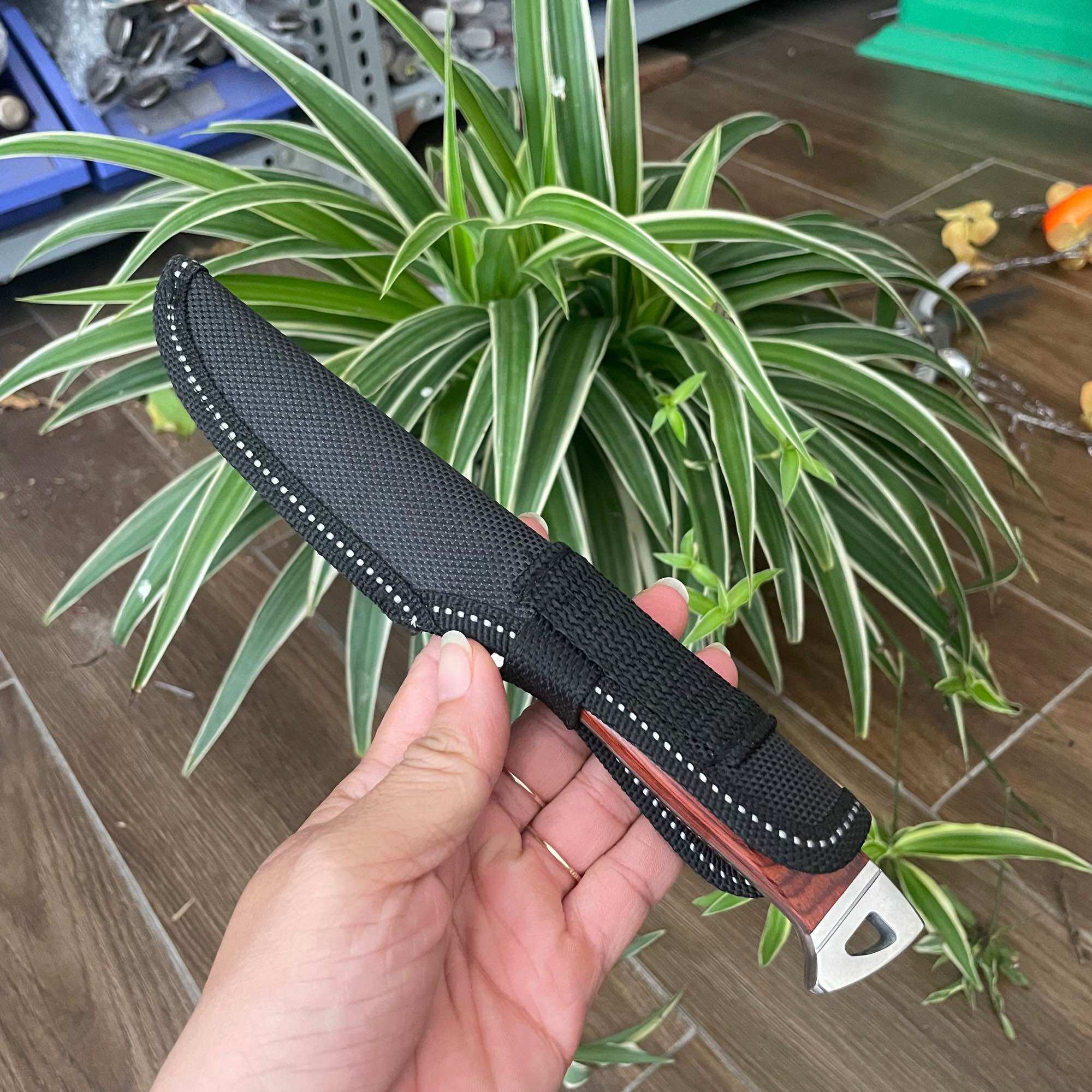 Dao gọt hoa quả có bao đựng, 19.5cm
