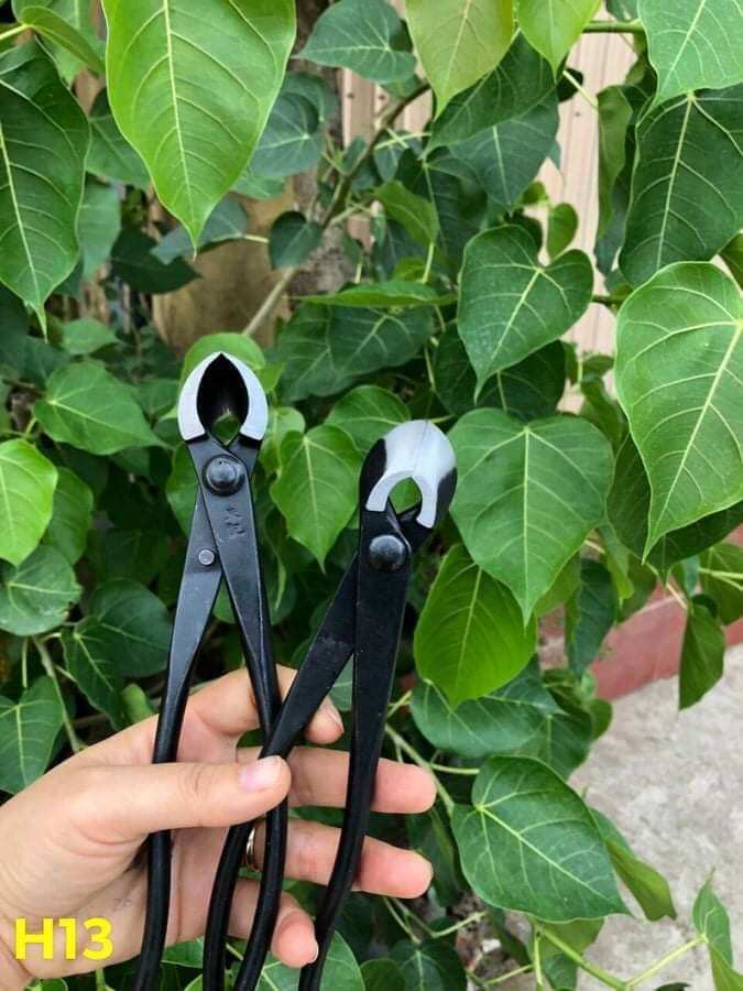 Cạp đa năng xéo tròn trên 1 cây