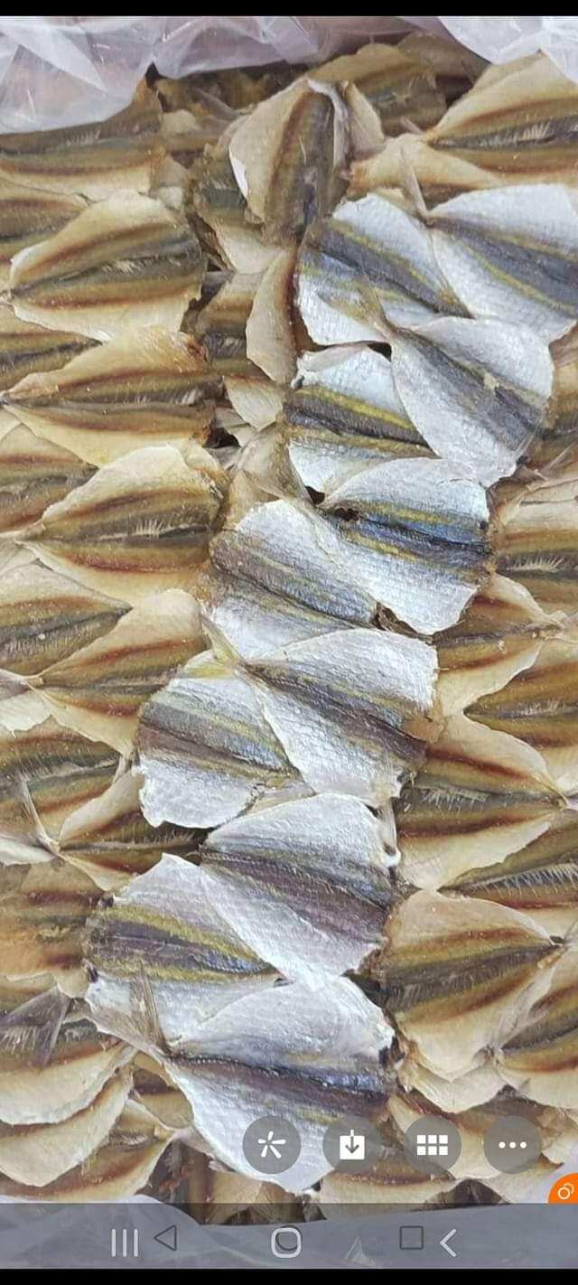 0.5 kg cá chỉ vàng Cửa Lò ( chuẩn 2 chỉ vàng trên lưng)