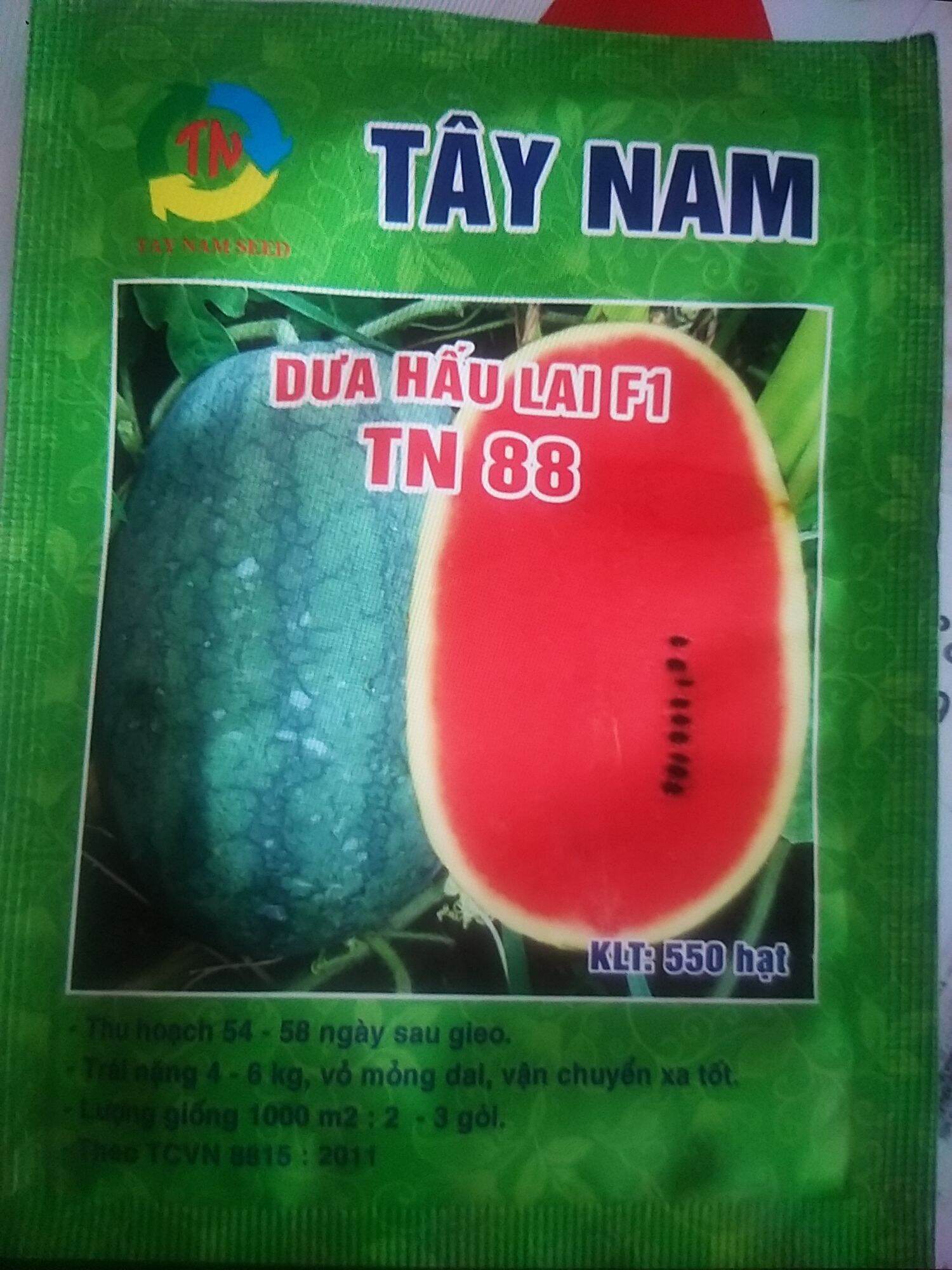 Hạt giống dưa hấu lai F1 TN88 Tây Nam gói 550 hạt (dưa hấu đường)