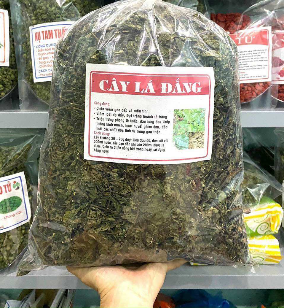 Lá đắng ᴄhữa dạ dày 1kg ,lá rau đắng rừng khô nấu canh,giải rượu,chữa dạ dày cực tốt dân tộc vùng cao tây bắc- đặc sản tây bắc 333