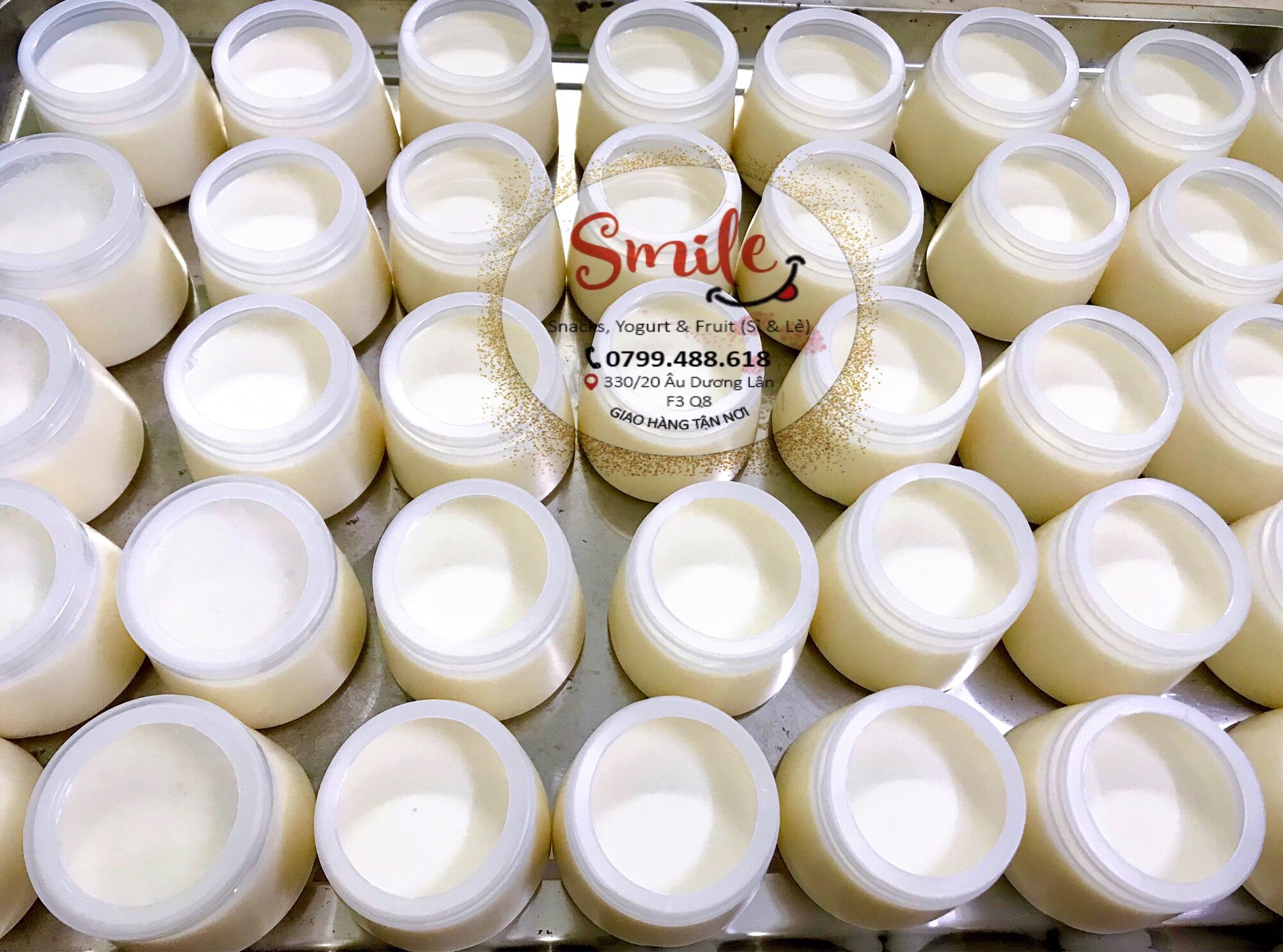SỮA CHUA HỦ DẺO 10vị