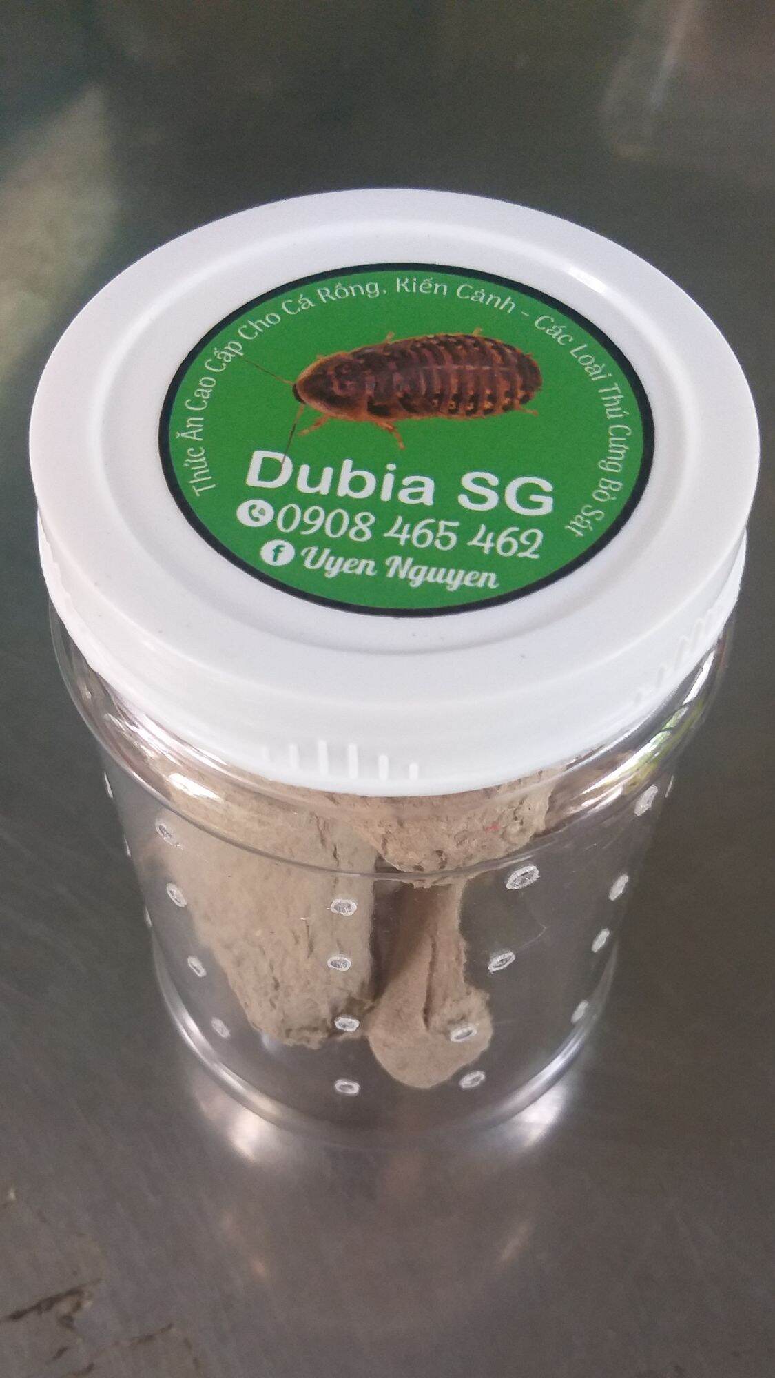 (1kg) gián Dubia size trung 1,7 đến 2,5cm. Quý khách nhớ thu thập Freeship Max để được giảm ship.