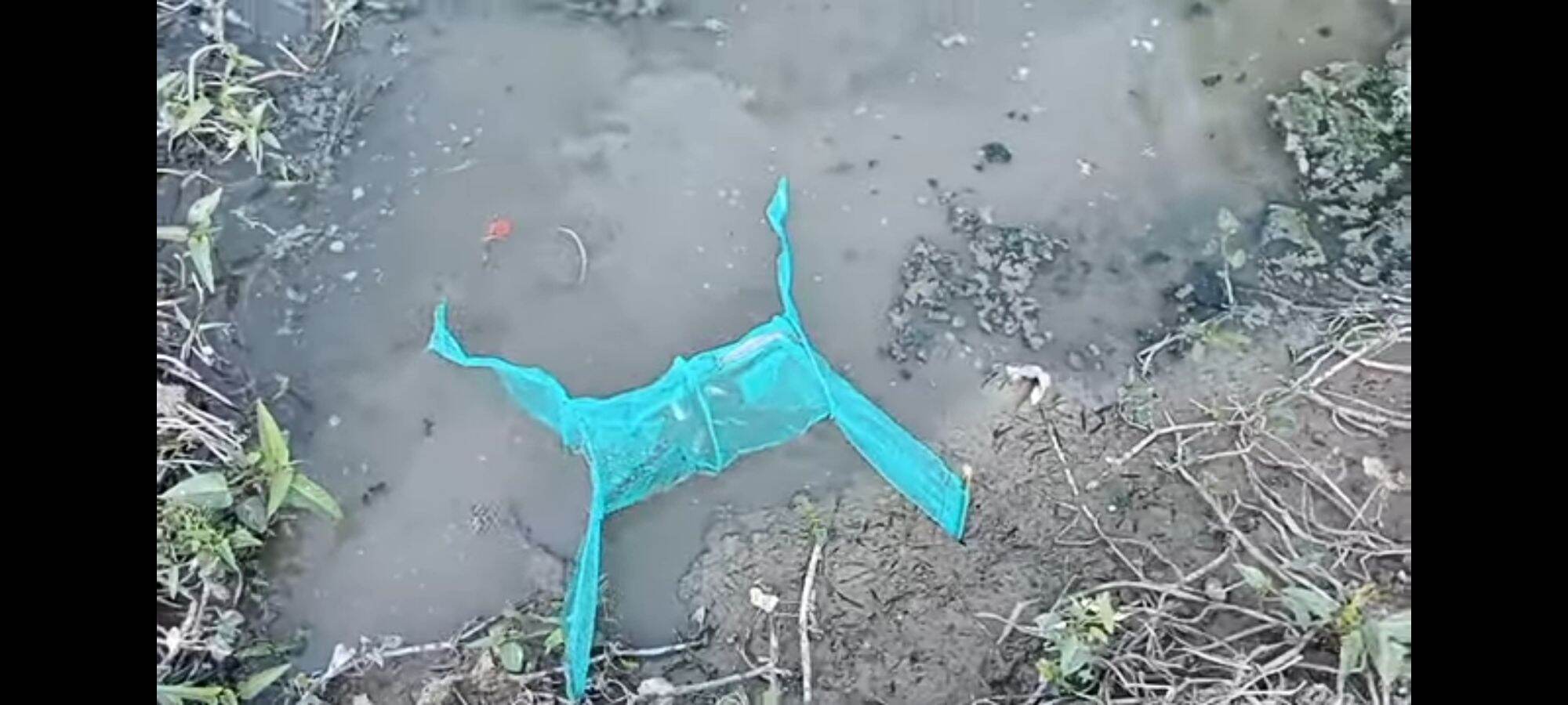 Lợp bẫy ếch đồng đa năng