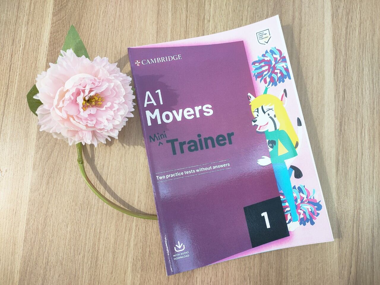 Mini Trainer A1 Movers