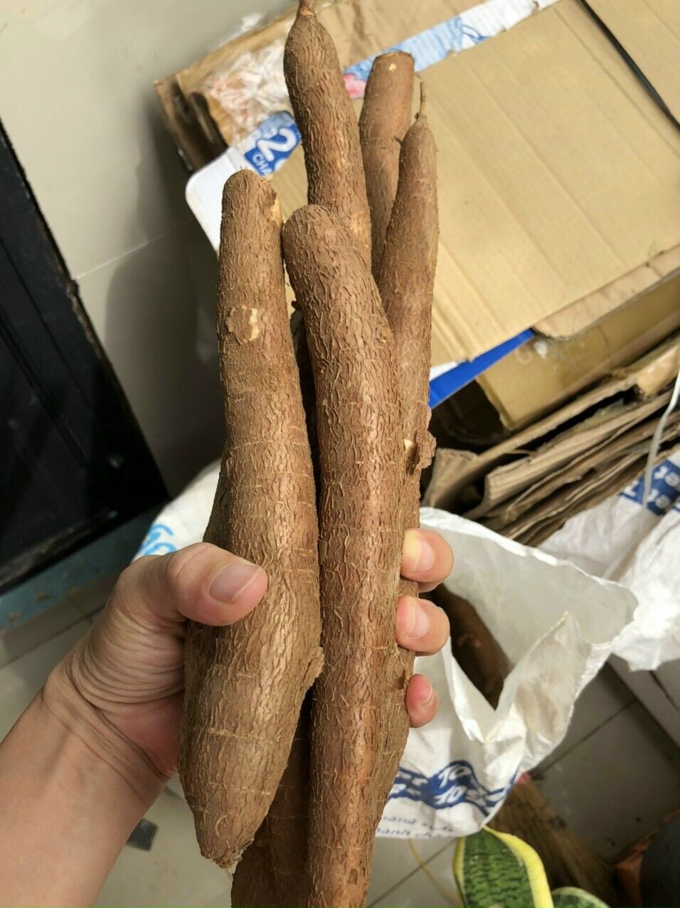 Combo 4kg khoai mì ruột vàng giống Thái (ship toàn quốc)