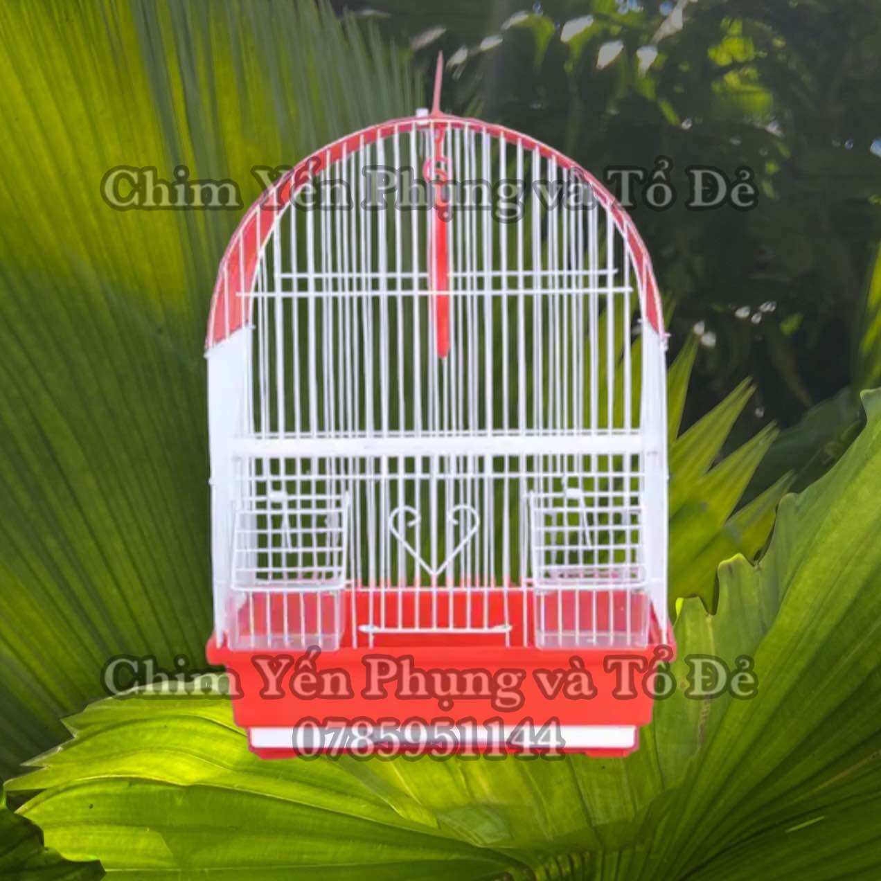 Lồng chim MÁI VÒM cho chim cảnh nhỏ (đủ phụ kiện) [Sg-giao hoả tốc 2h]