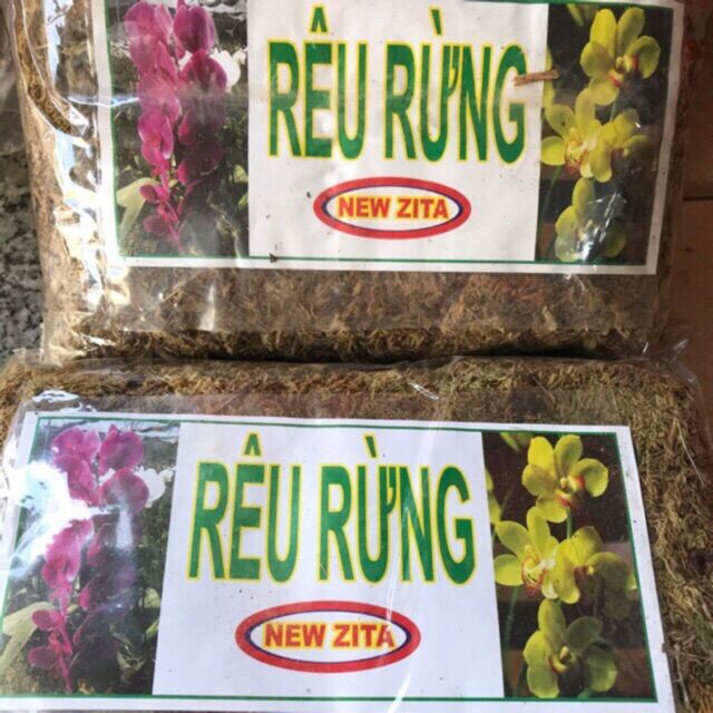Rêu rừng trồng lan - rêu NEWZITA dùng ghép lan, giữ ẩm rễ lan