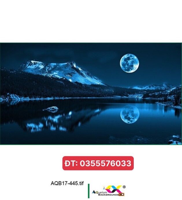 Tranh 3D - phông nền dán hồ cá, bể thuỷ sinh siêu đẹp và nét, có keo sẵn trên bề mặt, có thể in theo kích thước yêu cầu (mã AQB17-445)