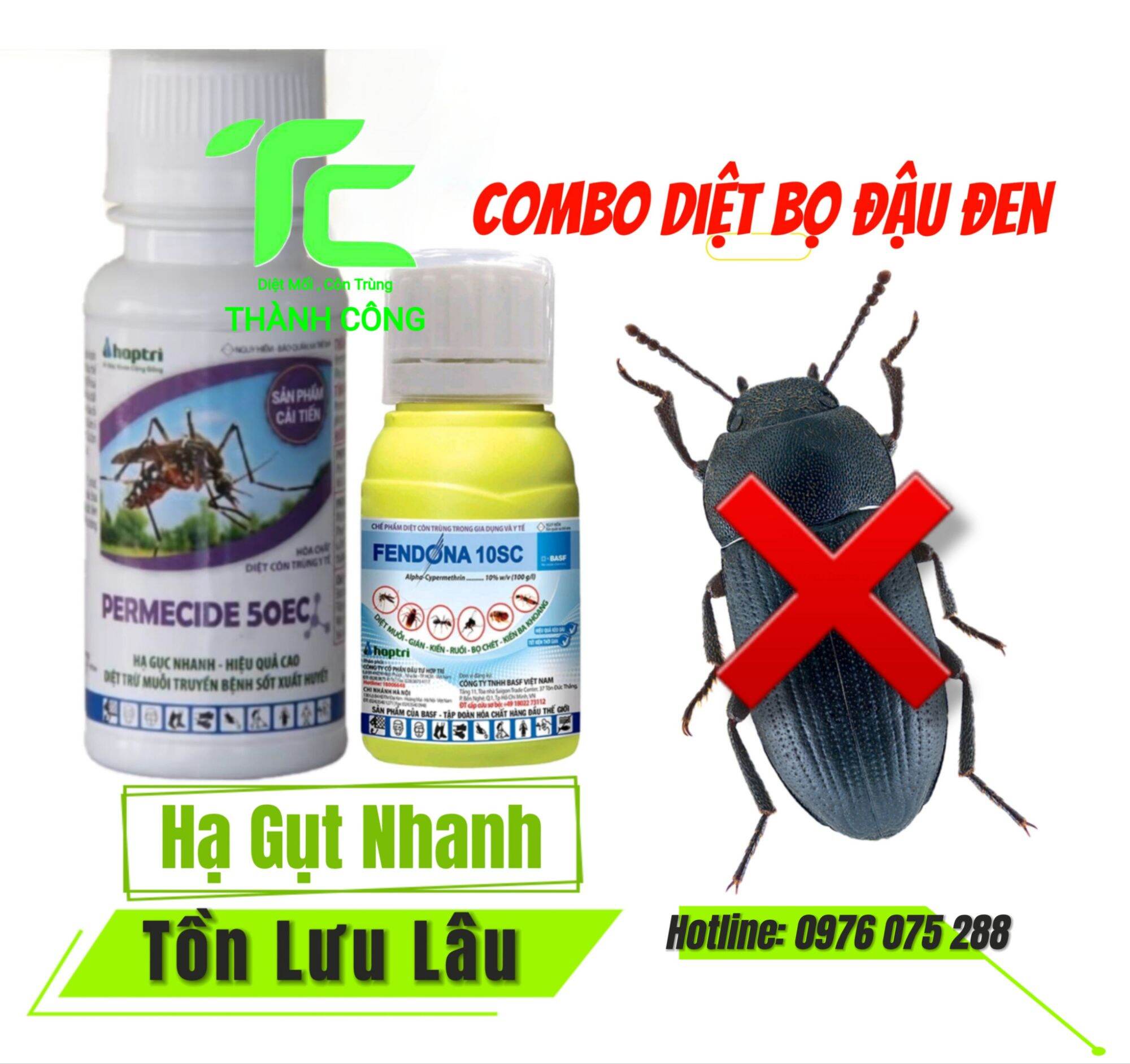 Thuốc diệt Bọ Đậu Đen hiệu quả sau 1 lần phun