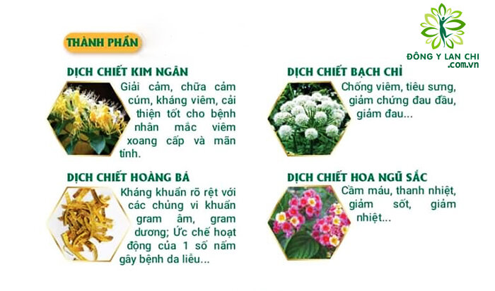 ĐỈNH XOANG VƯƠNG LAN CHI (Tặng Dung dịch Đỉnh Xoang Vương)