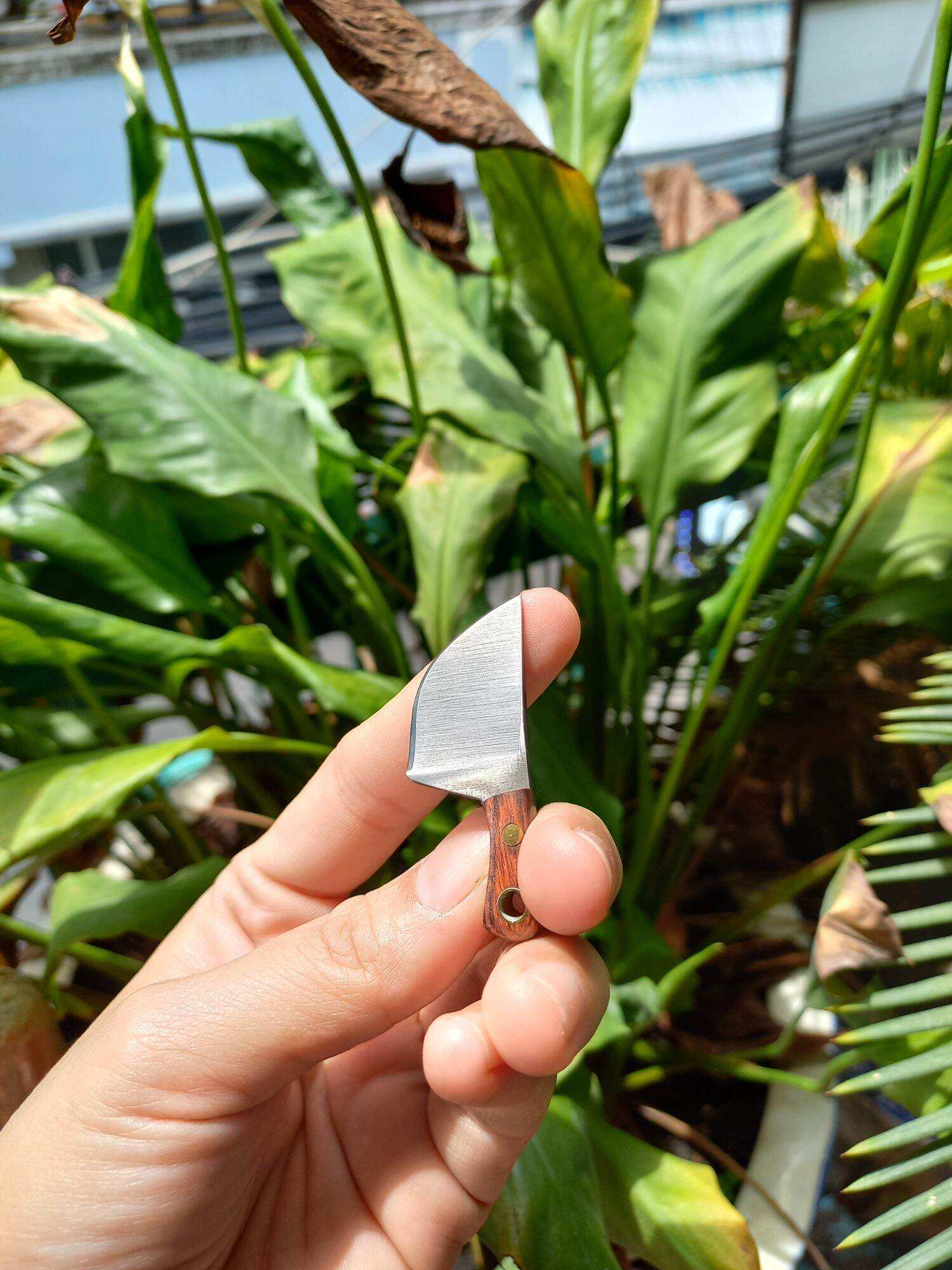 Đồ chơi nấu ăn mini