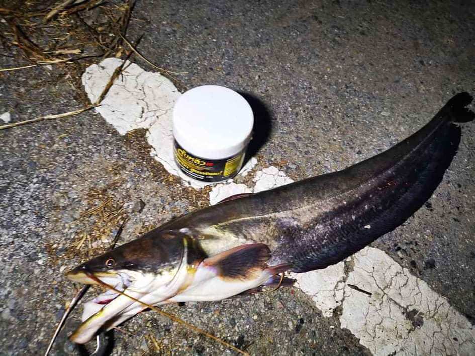 MỒI CÂU CÁ LĂNG THÁI LAN 250G
