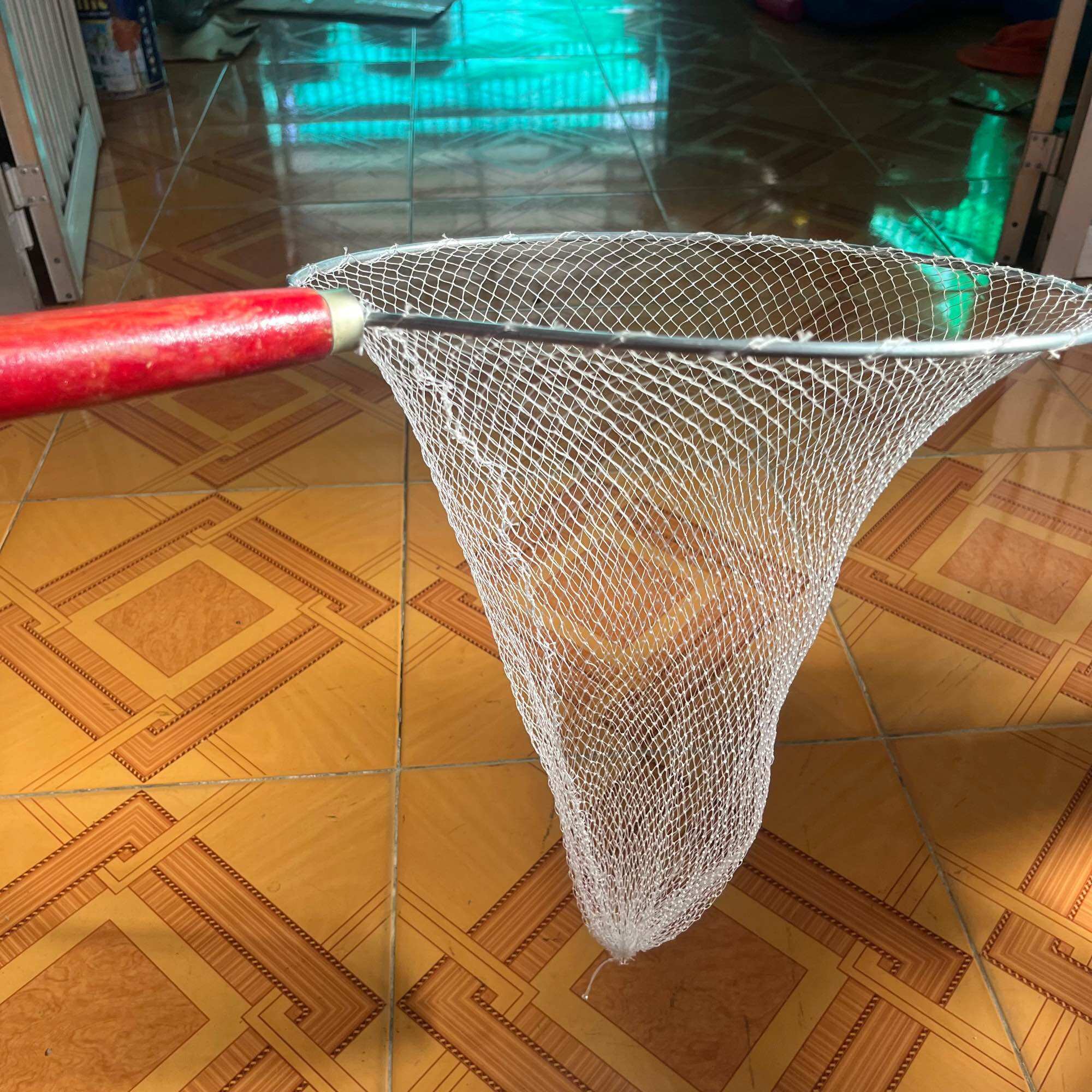 Vợt tròn vớt cá cán gỗ đường kính 34cm