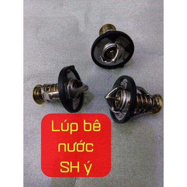 Lúp bê nước sh ý