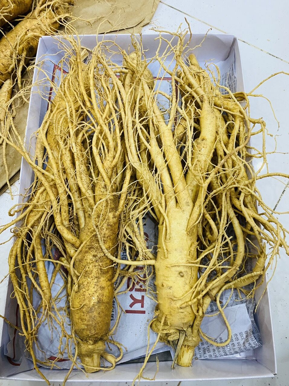 [HCM] 1 Củ Sâm tươi Hàn Quốc loại 5 củ 1kg
