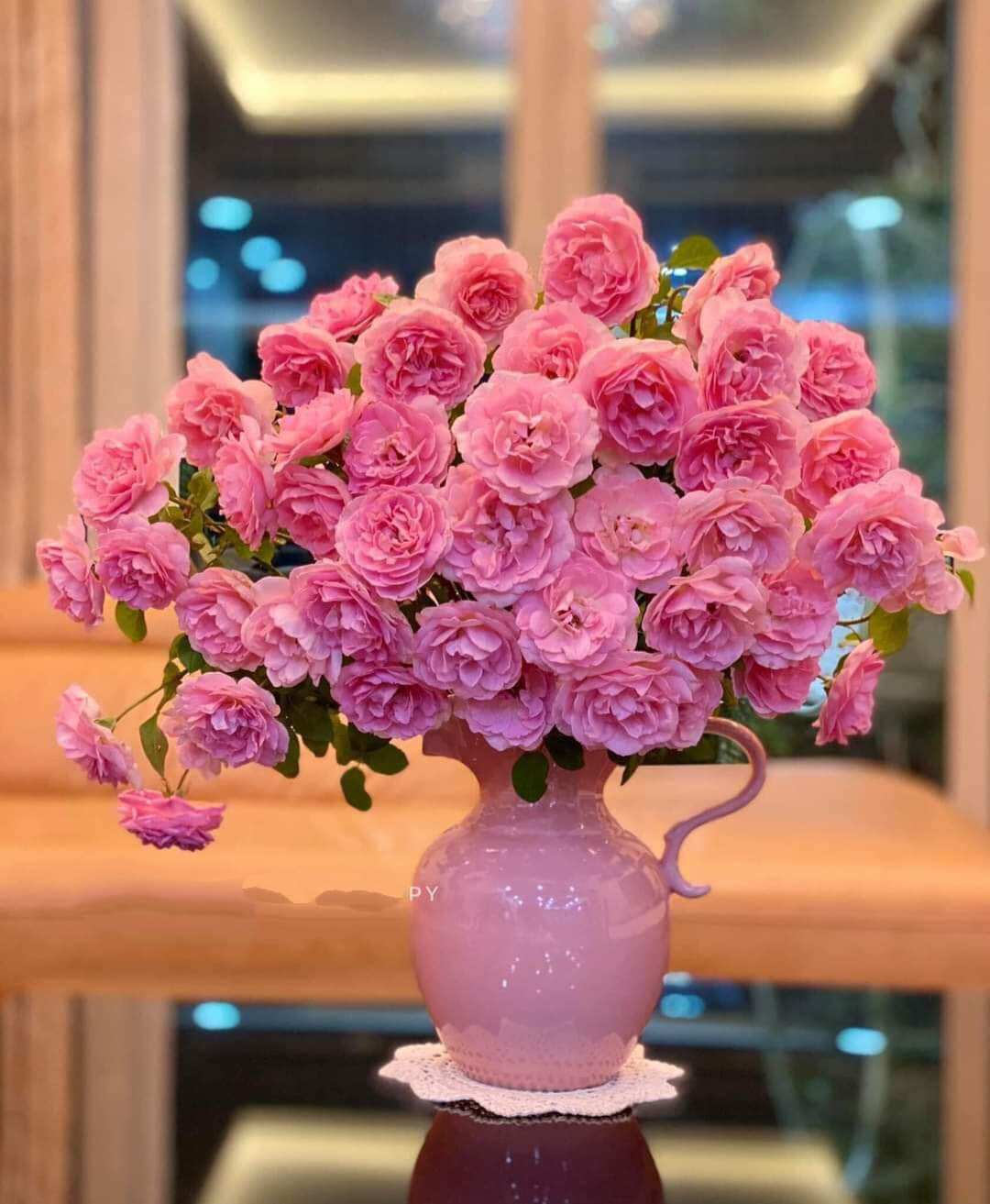 Nước cắm hoa tươi lâu 15 ngày
