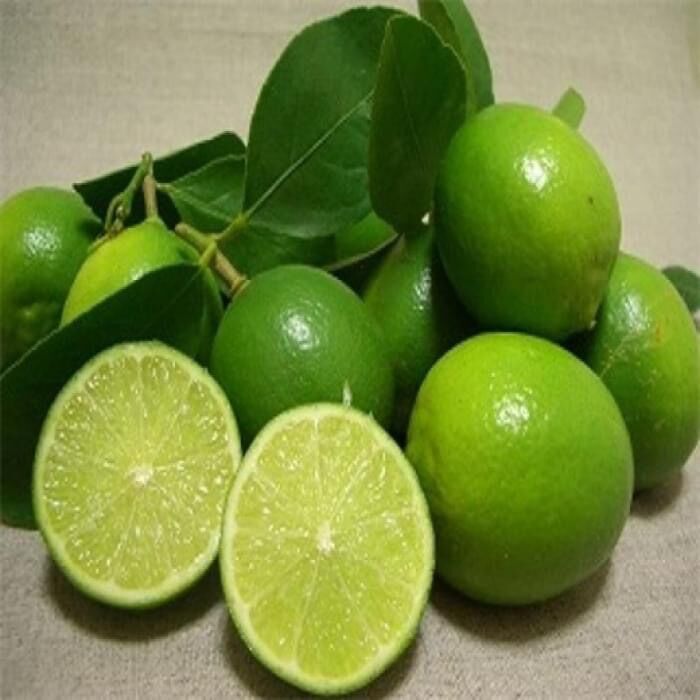 Cây giống chanh tứ quý không hạt